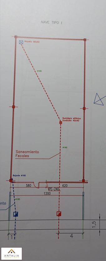 Imagen 9