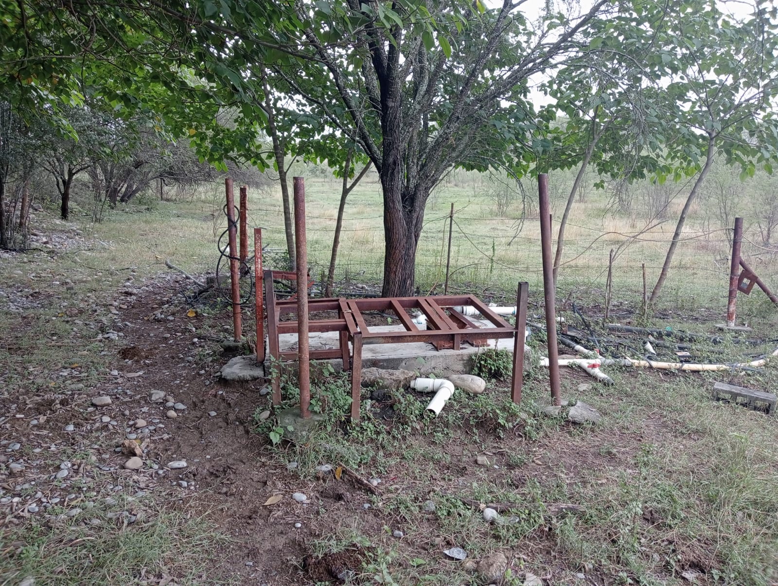 Imagen 1