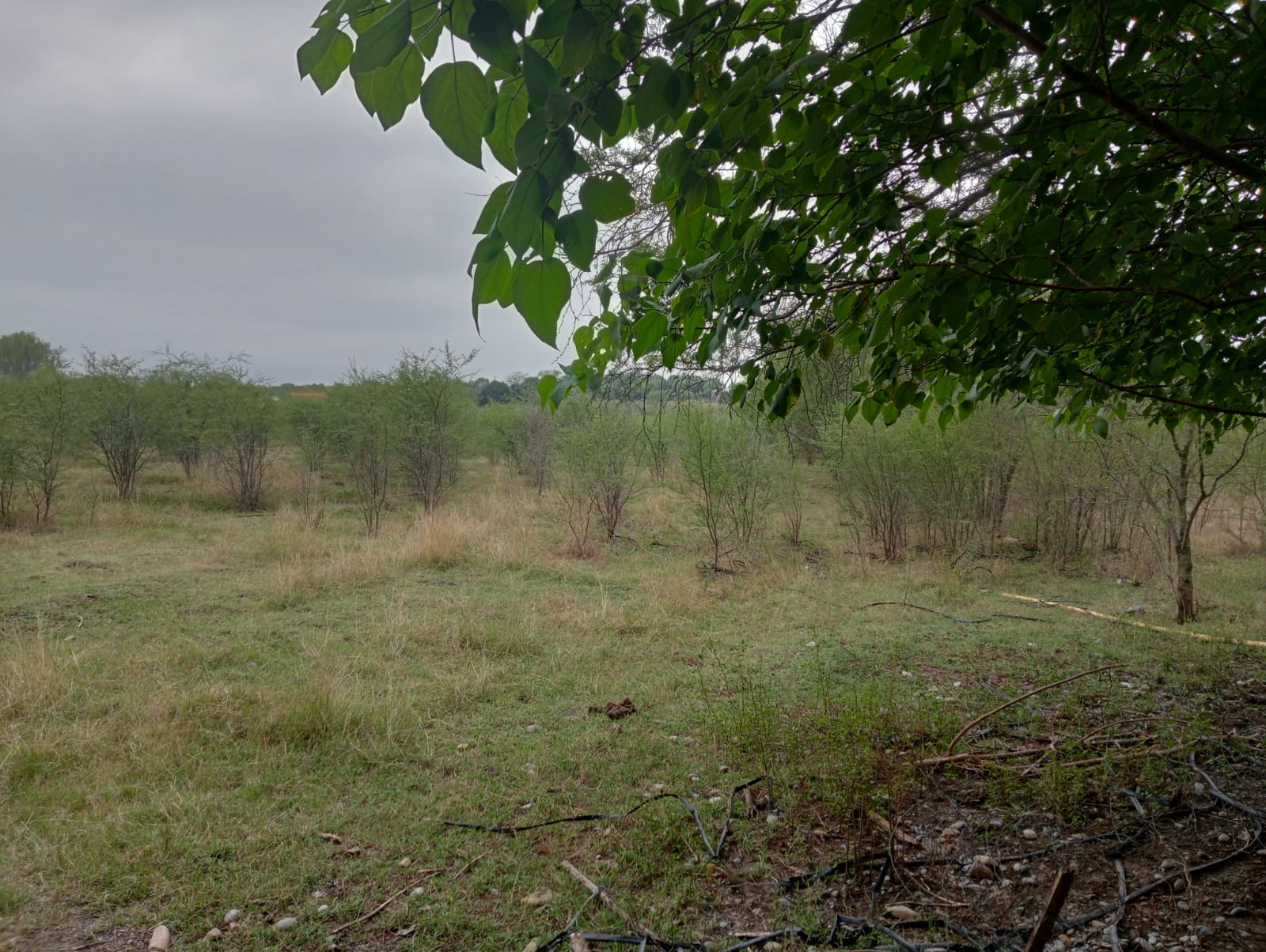 Imagen 6