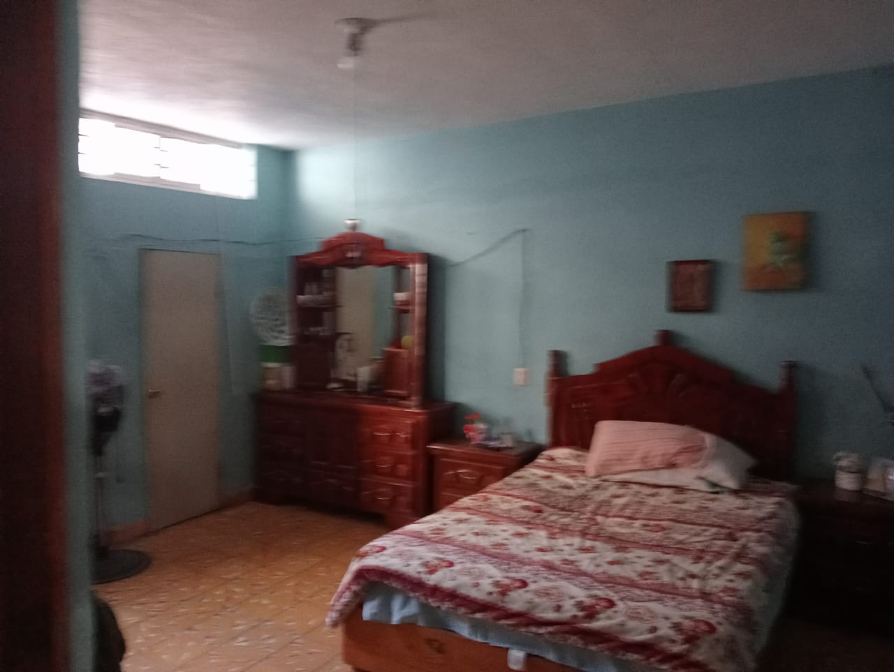 Imagen 5