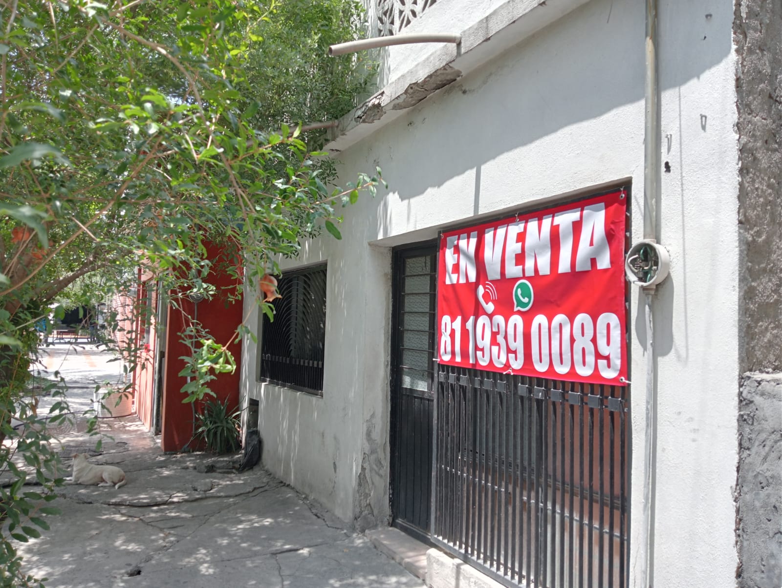 Imagen 1