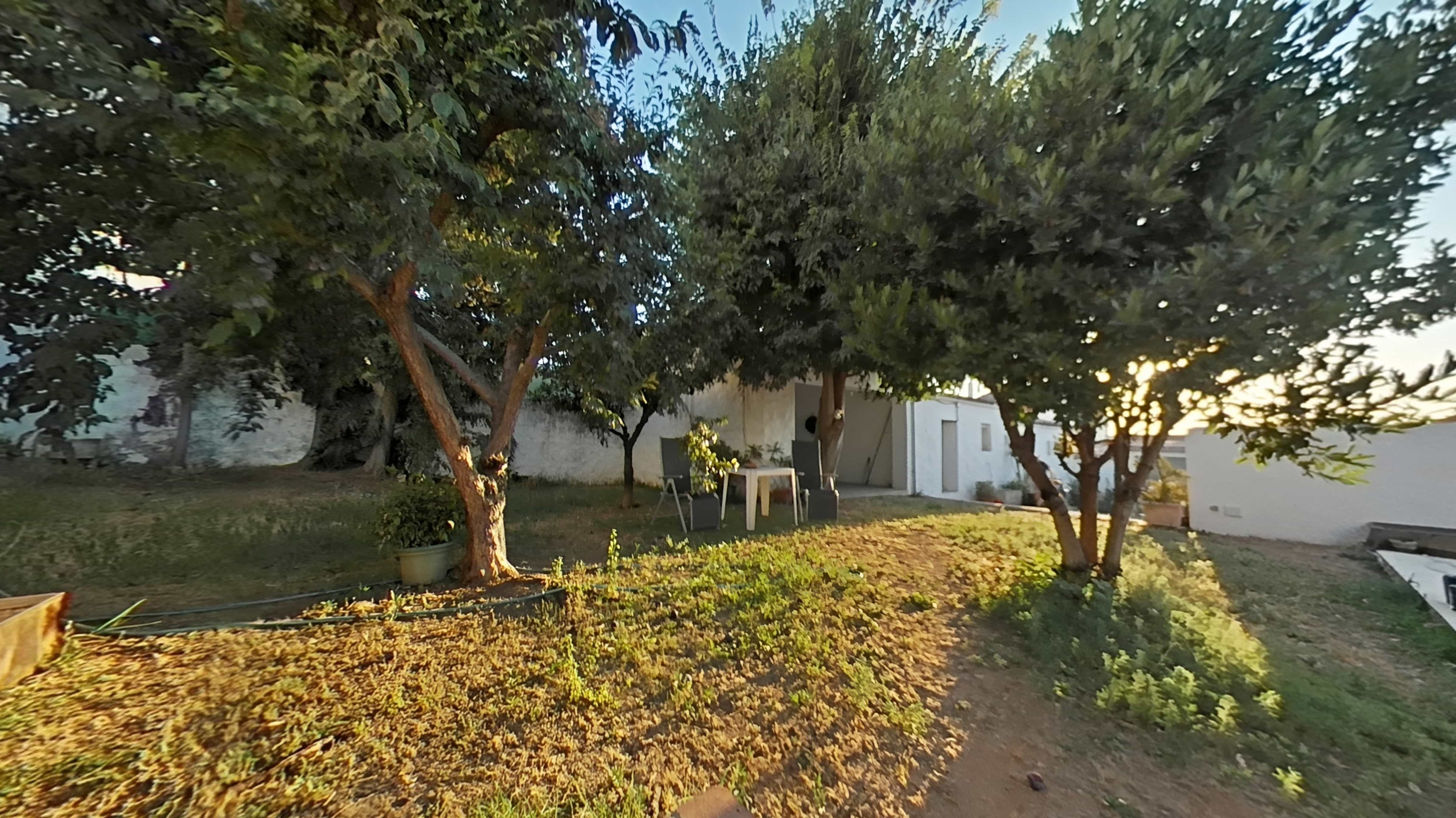 Imagen 7