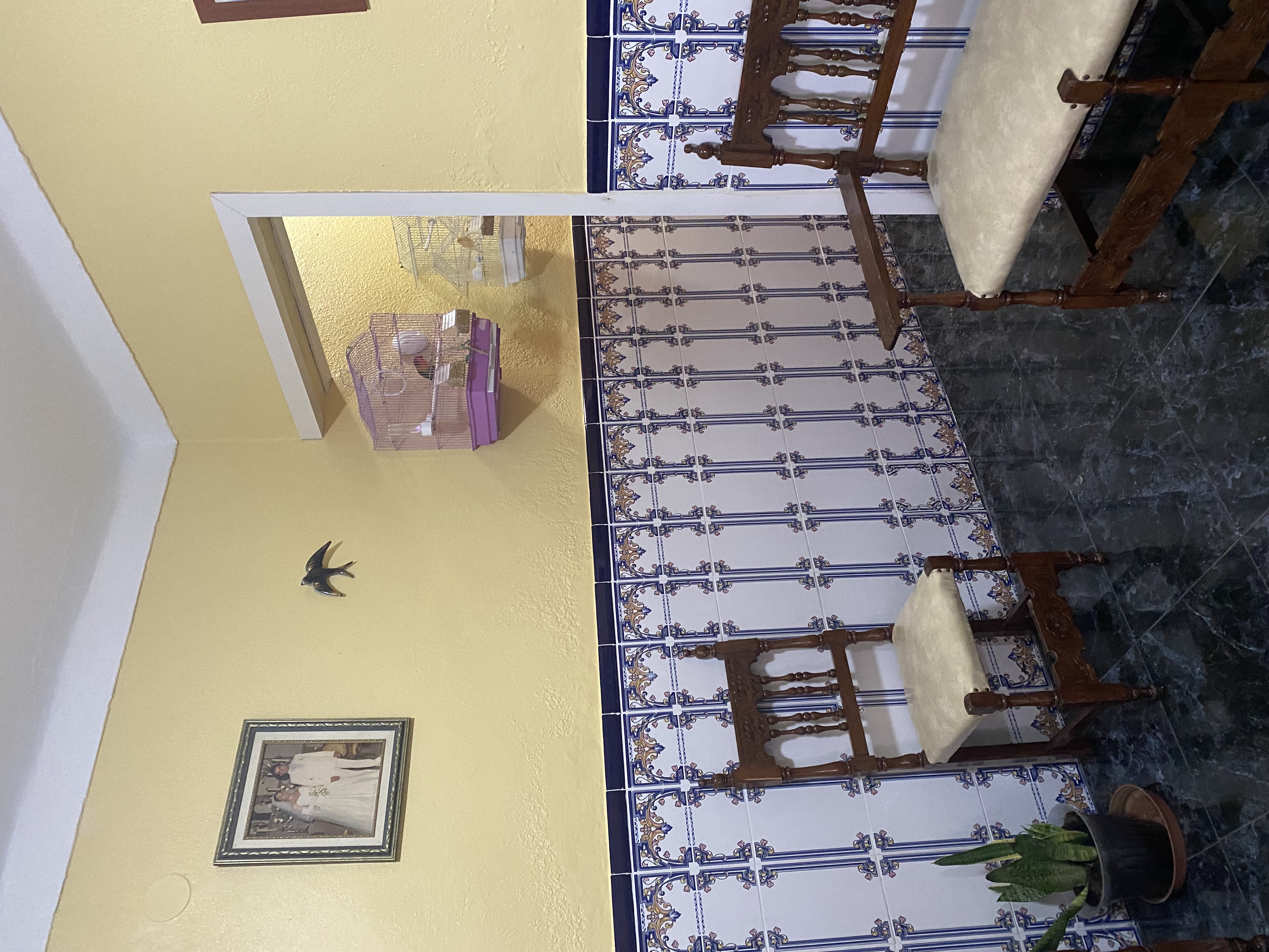 Imagen 10