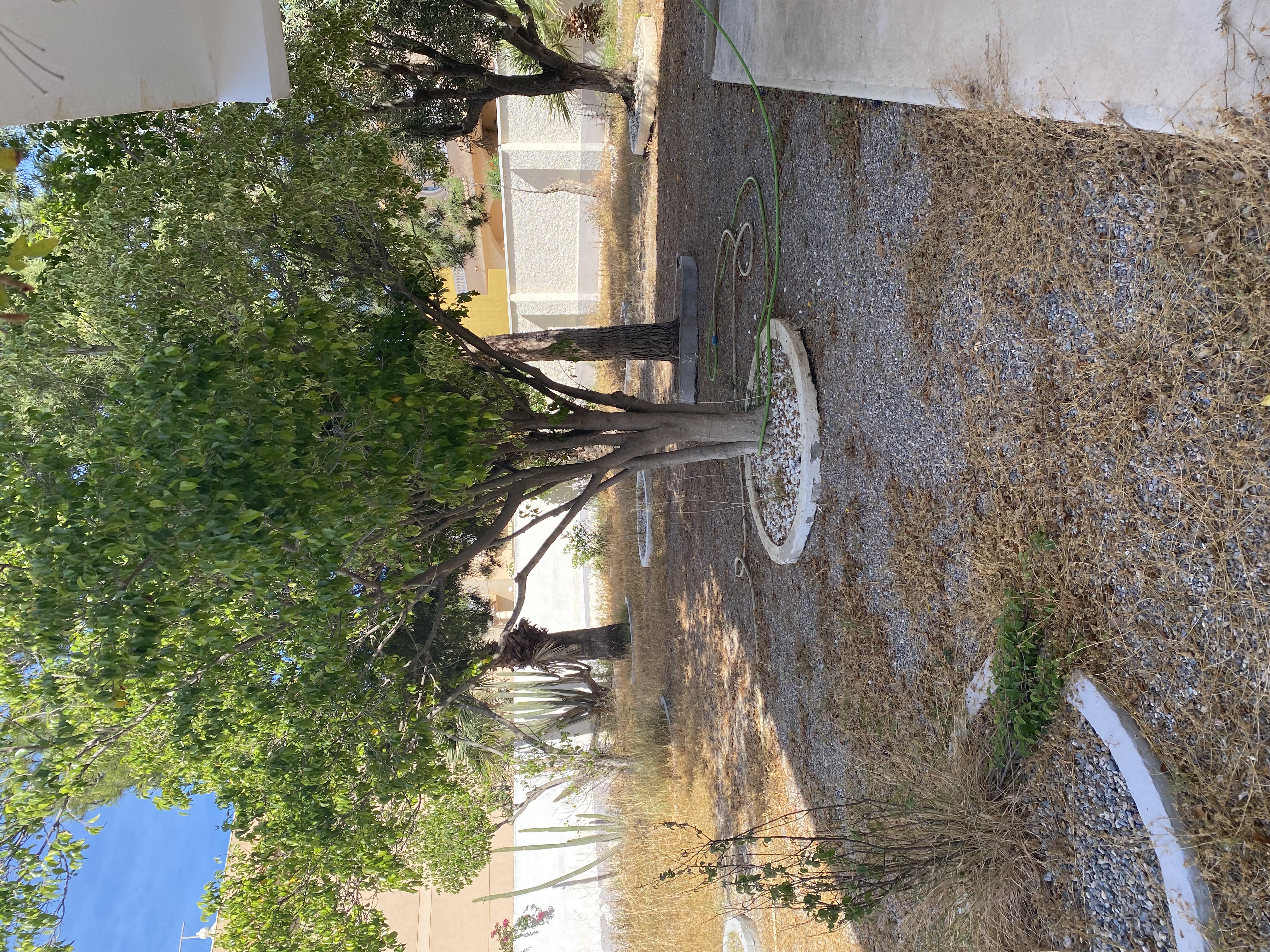Imagen 4