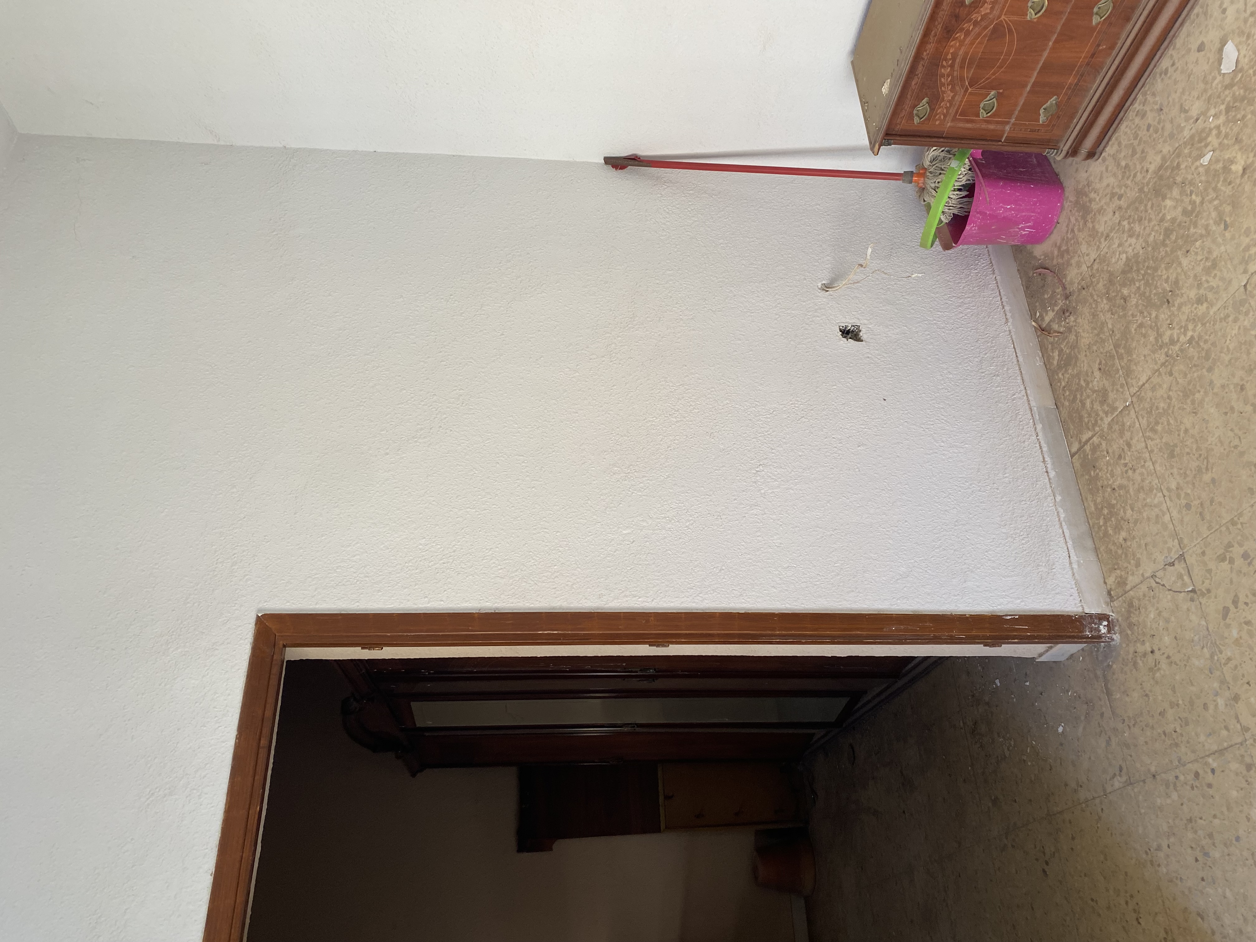 Imagen 11