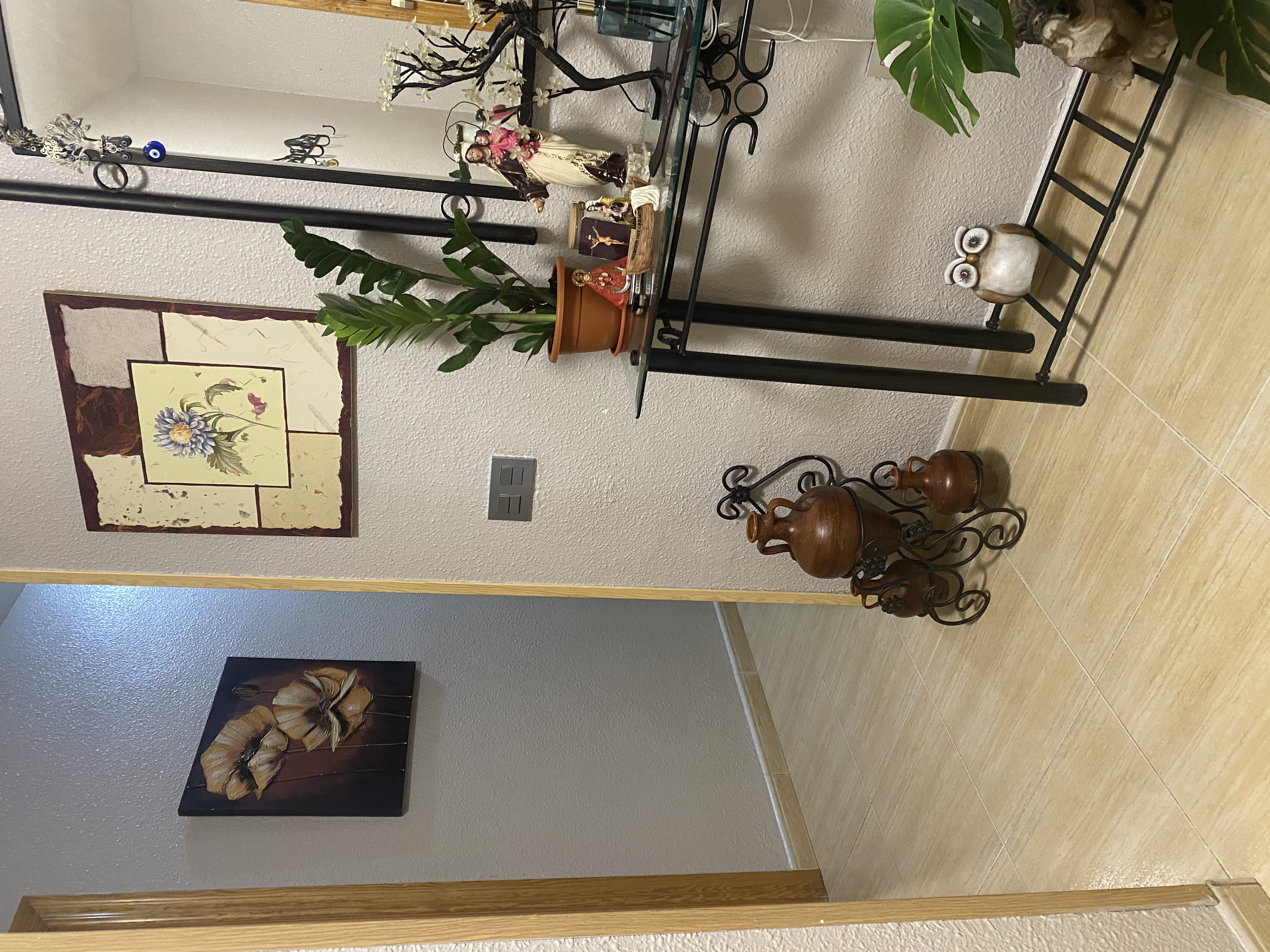 Imagen 16