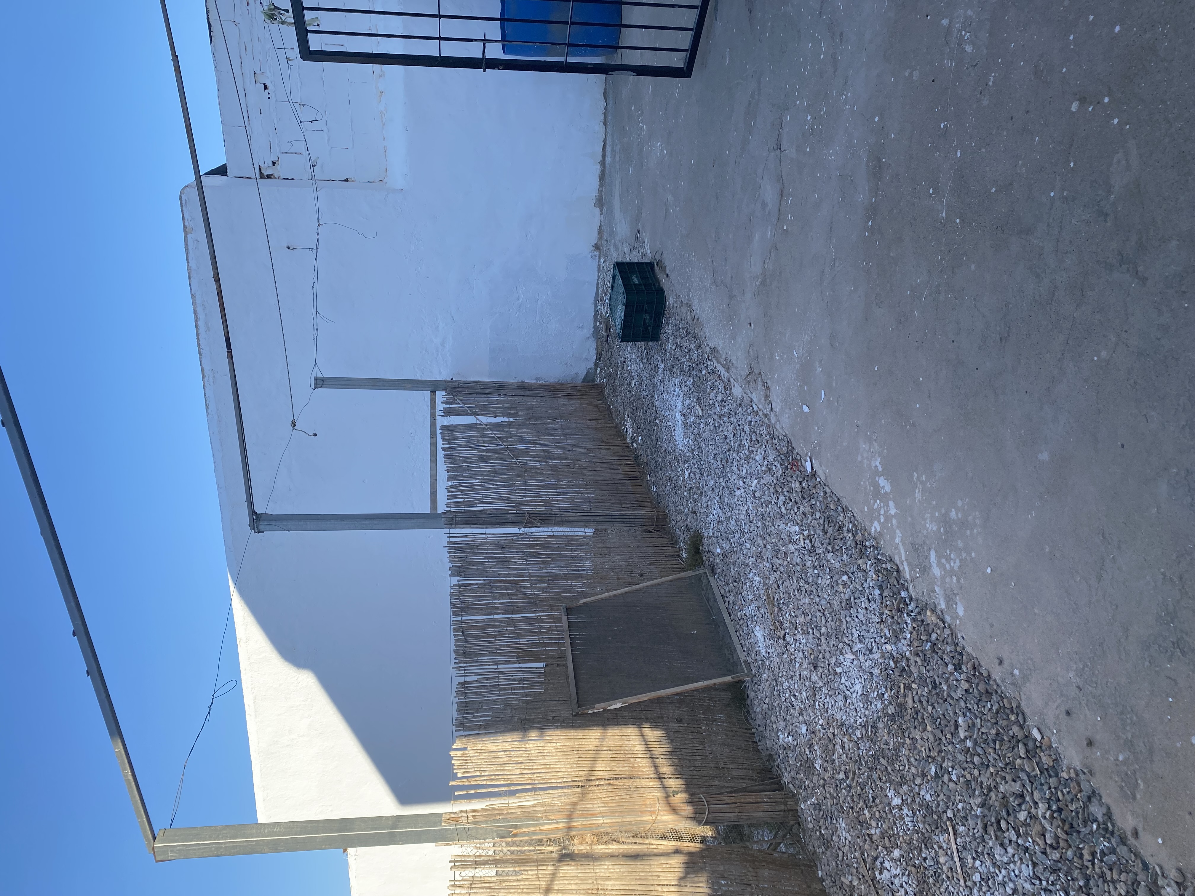 Imagen 26