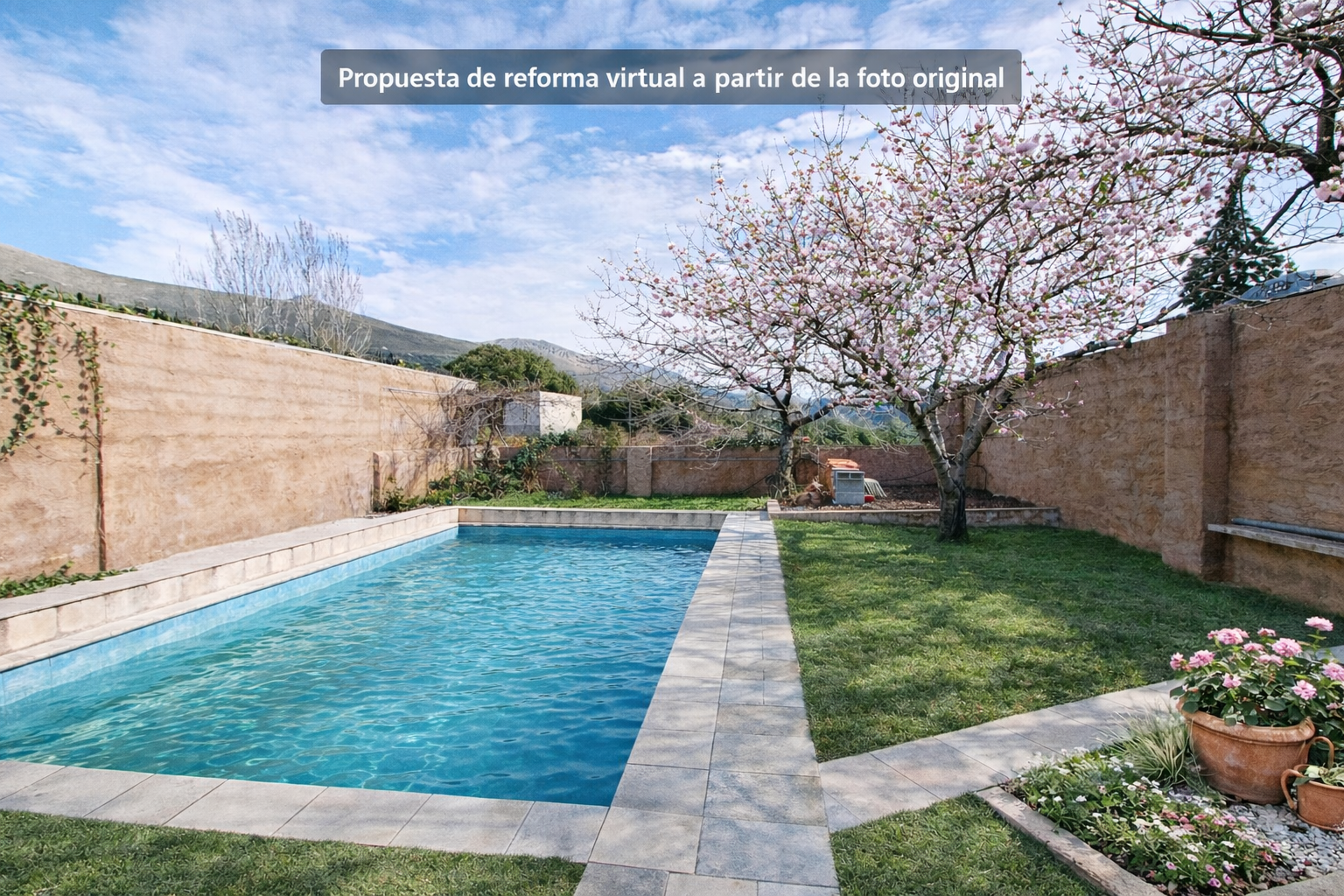 Imagen 8