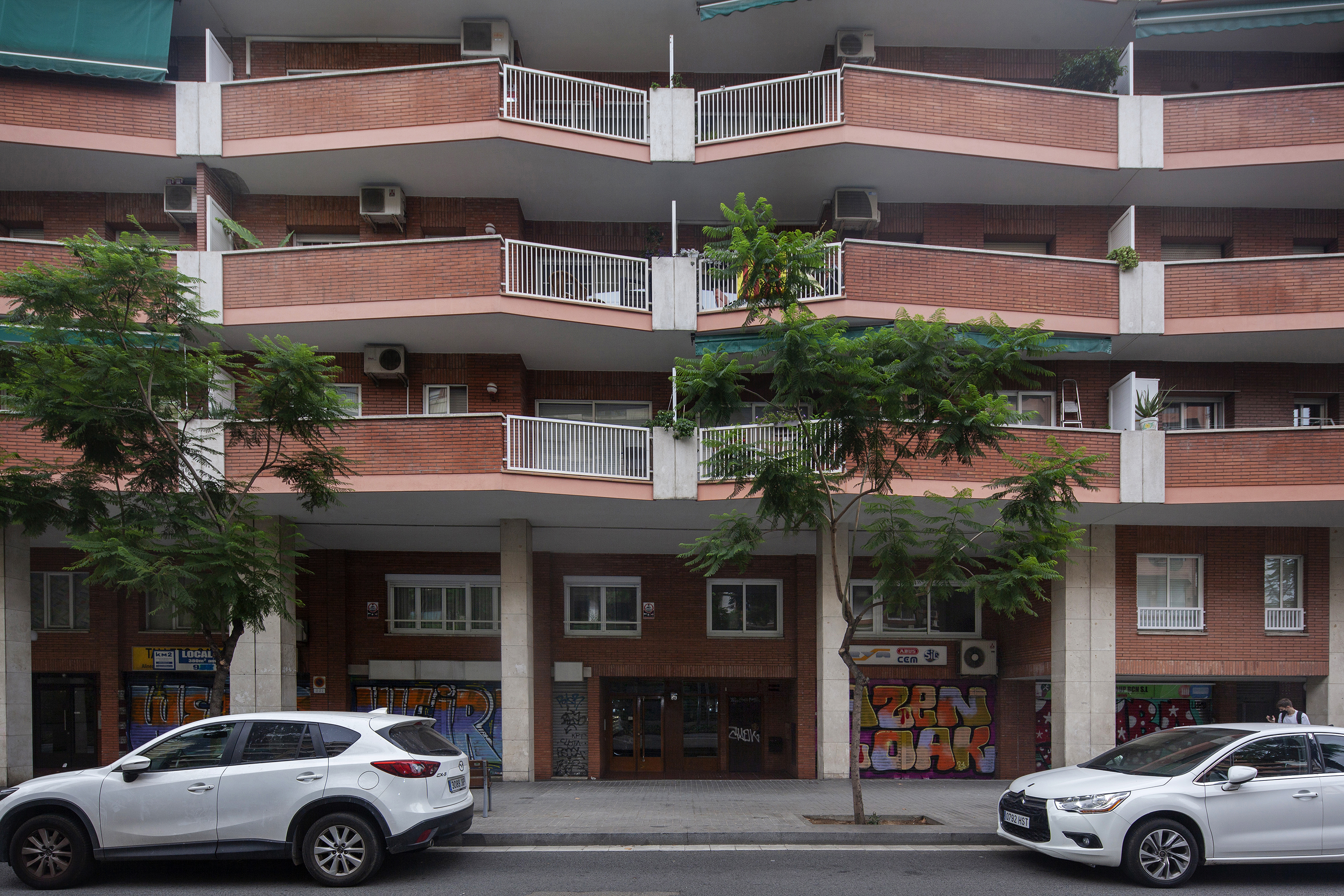 Imagen 1