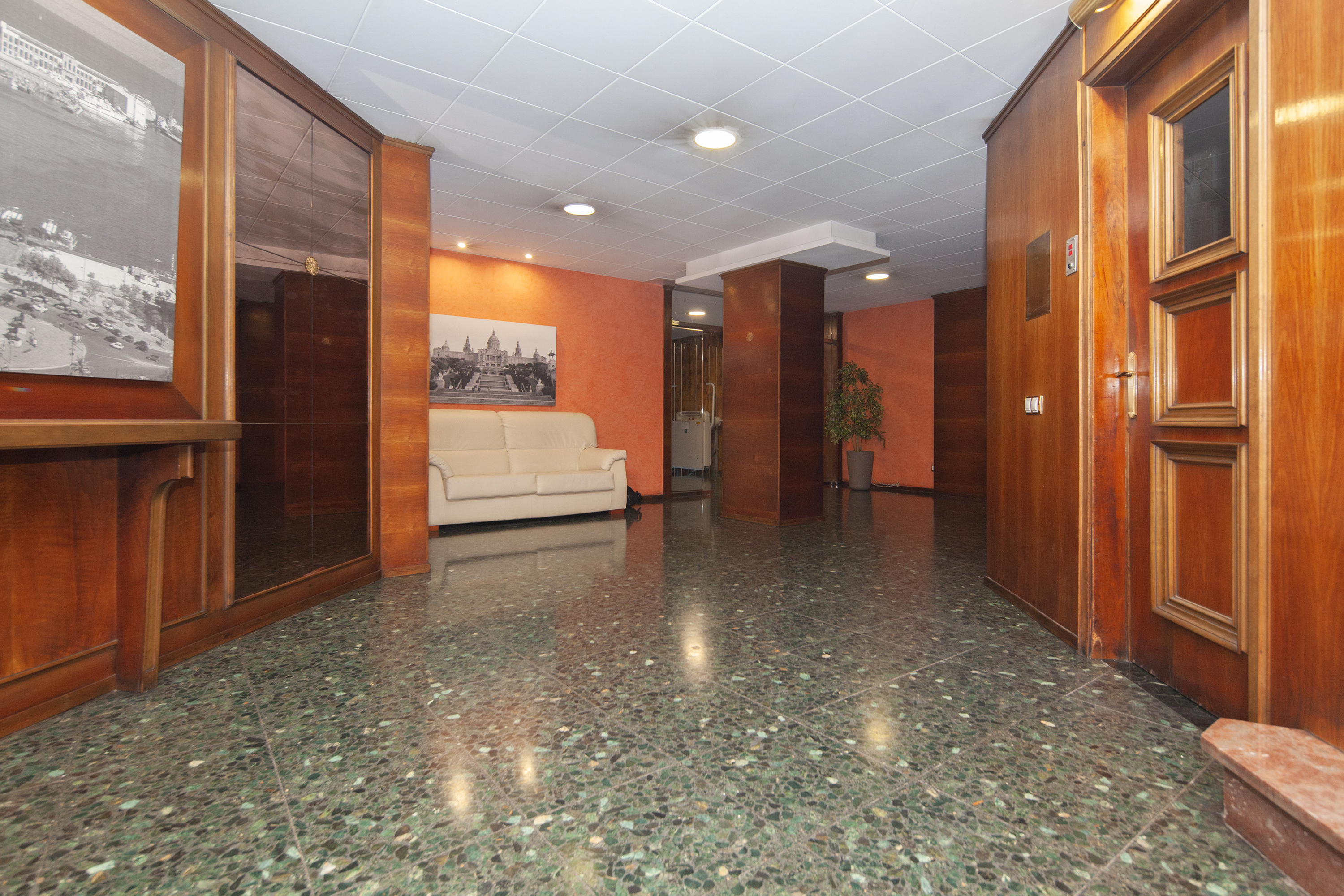 Imagen 45