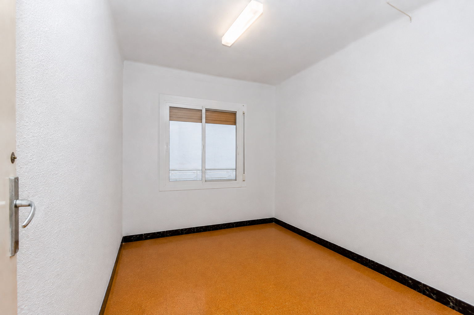 Imagen 10