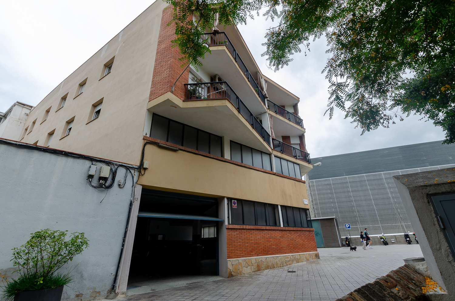 Imagen 5