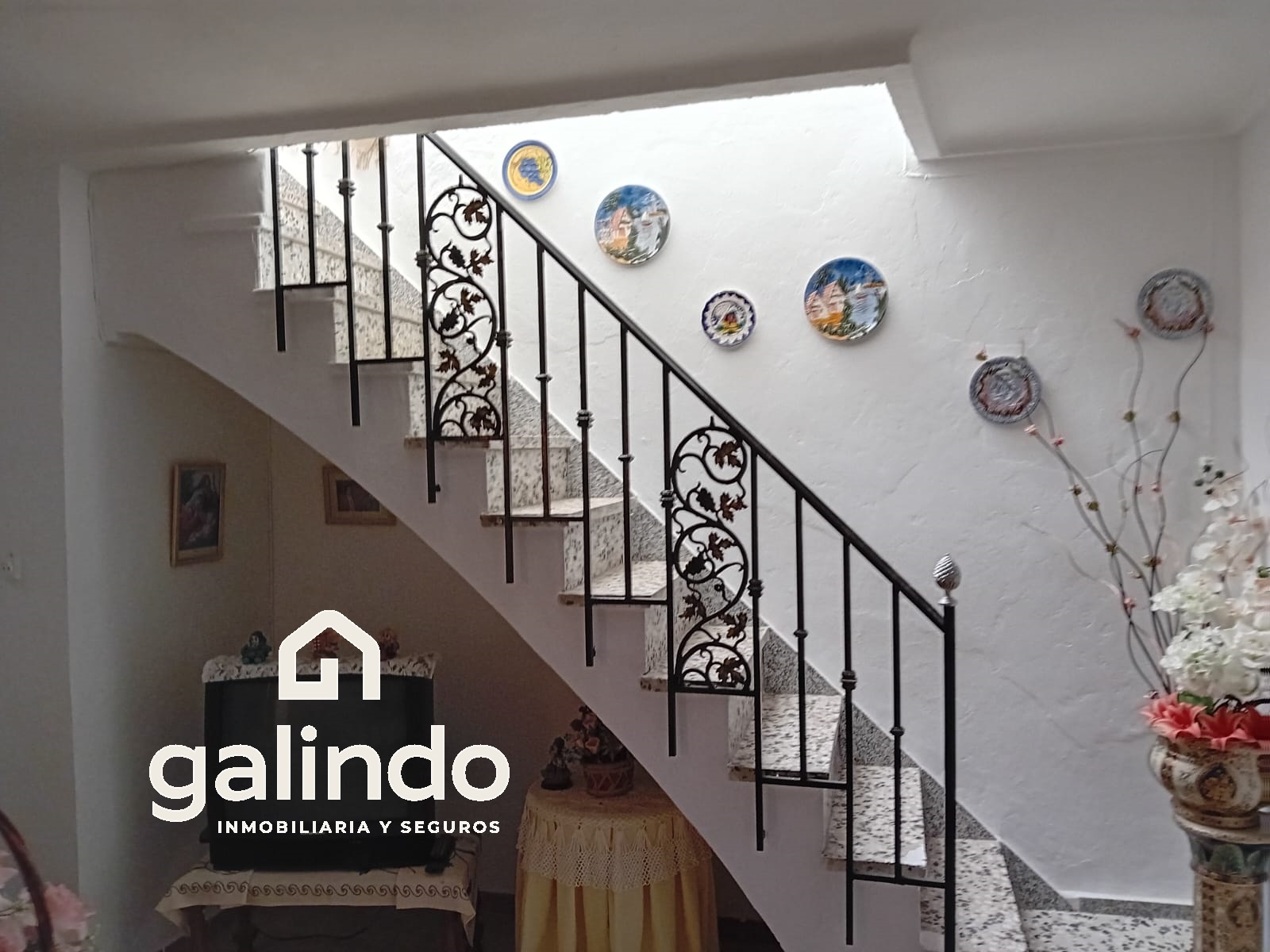 Imagen 27
