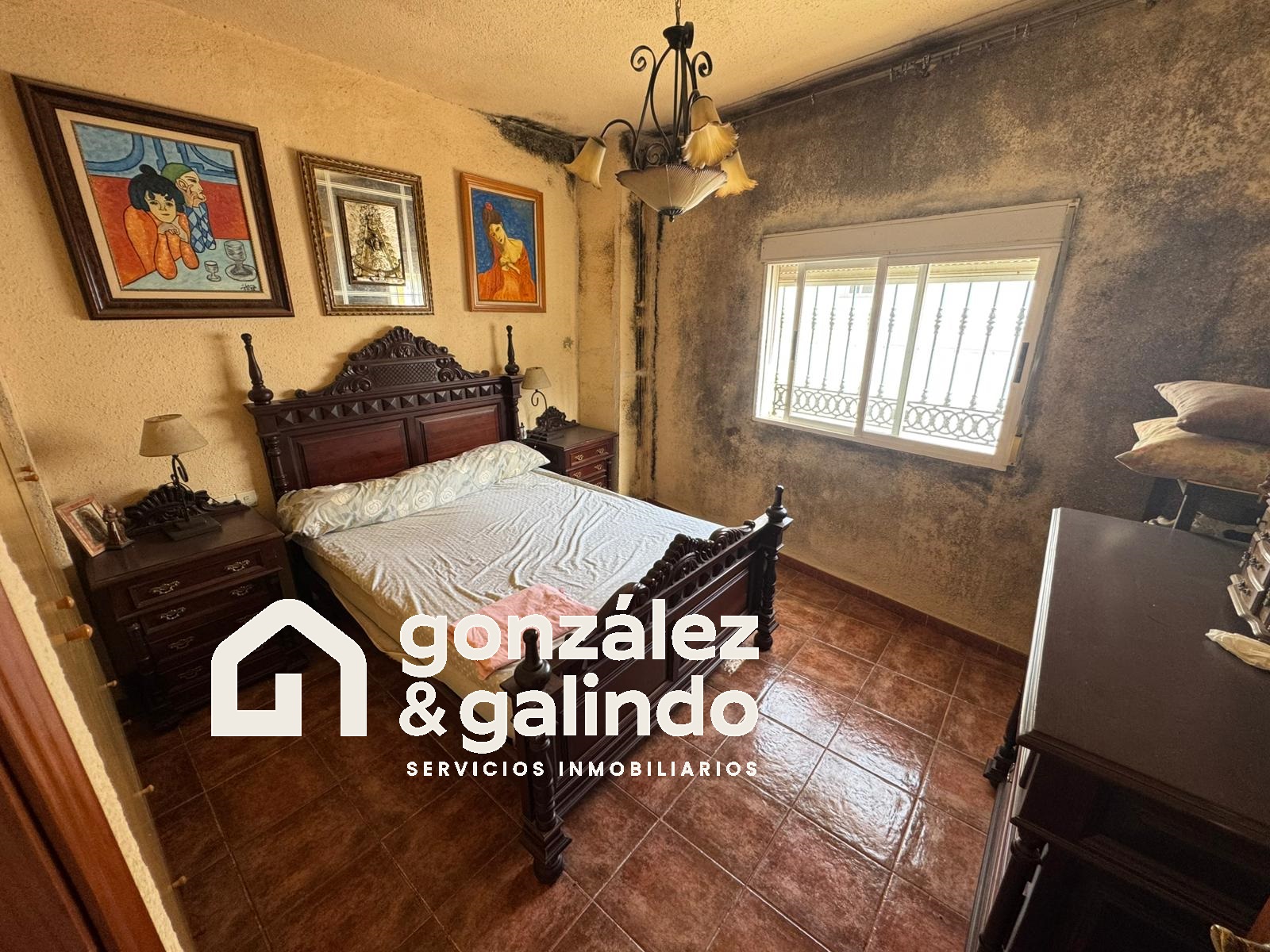 Imagen 8