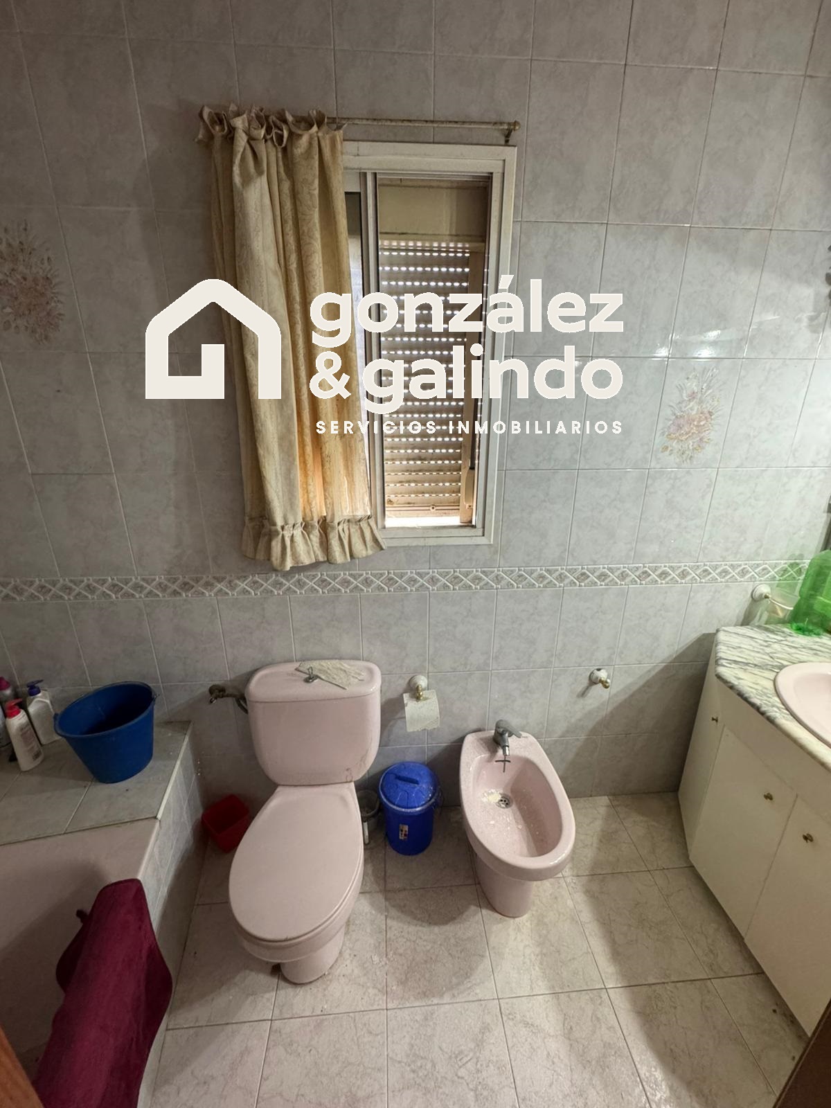 Imagen 12