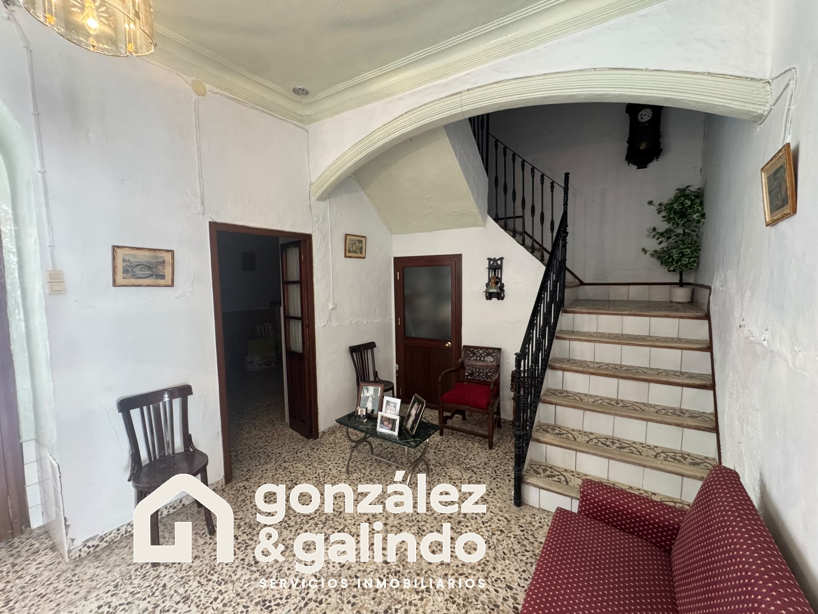 Imagen 5