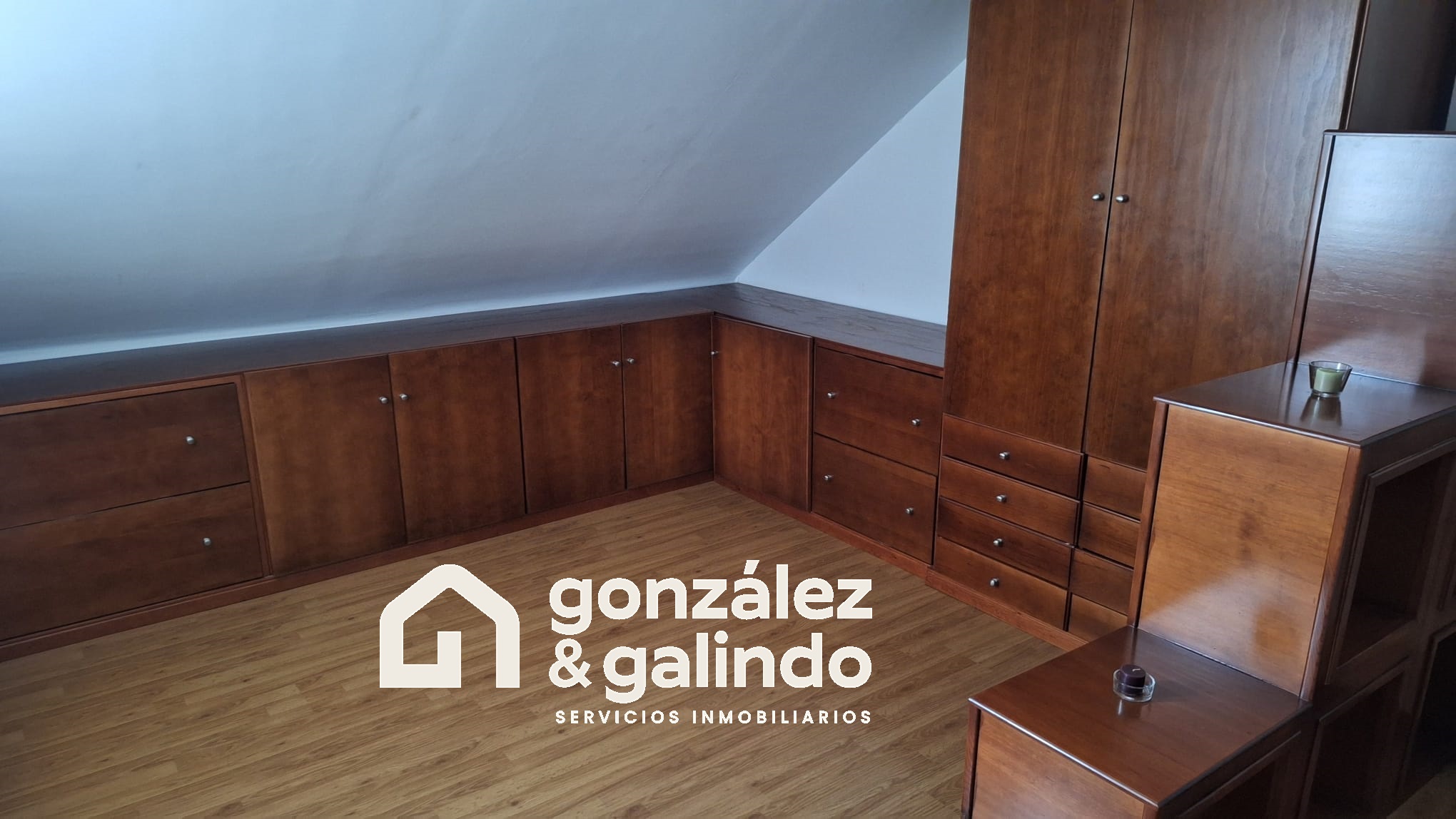 Imagen 20