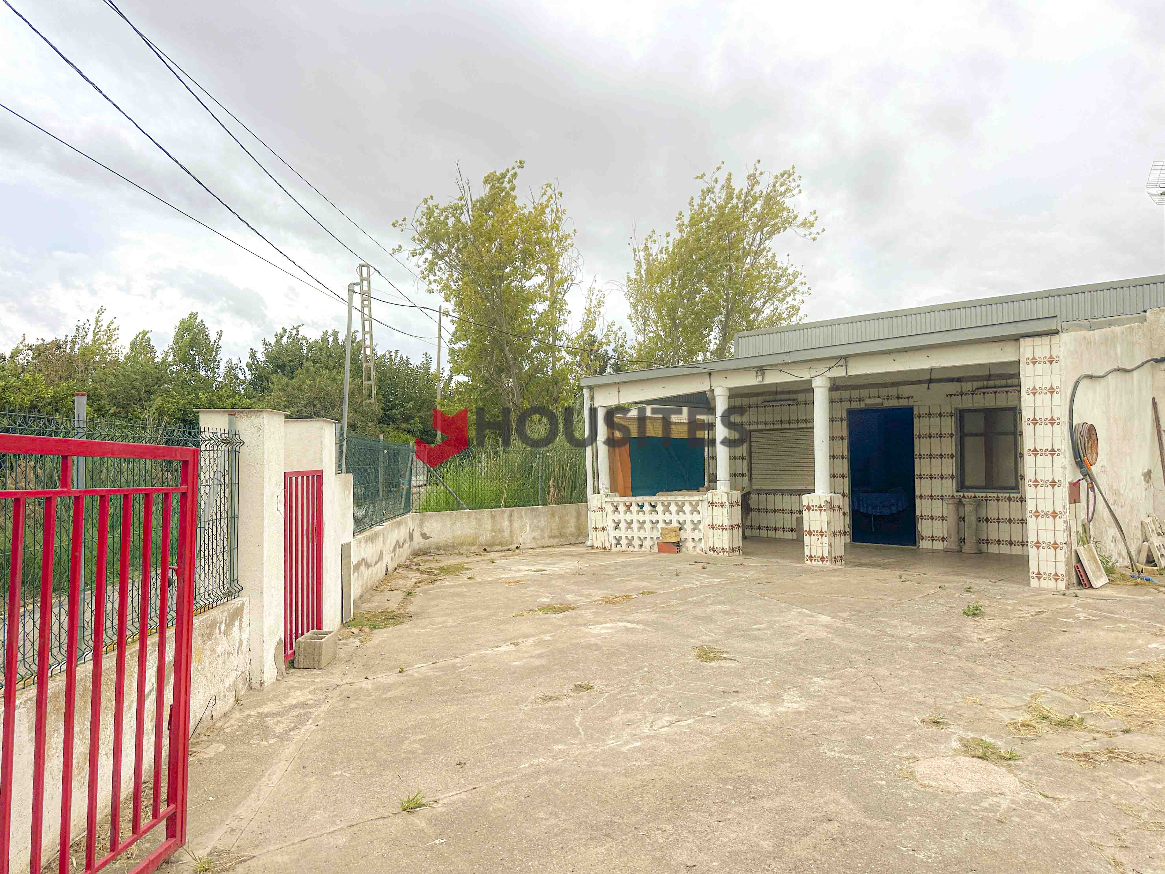 Imagen 1