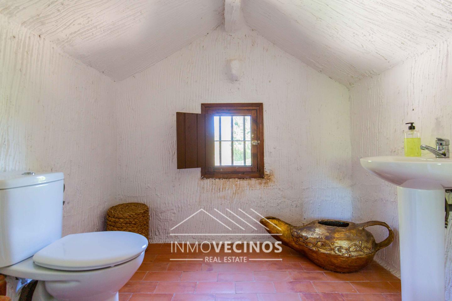 Imagen 37