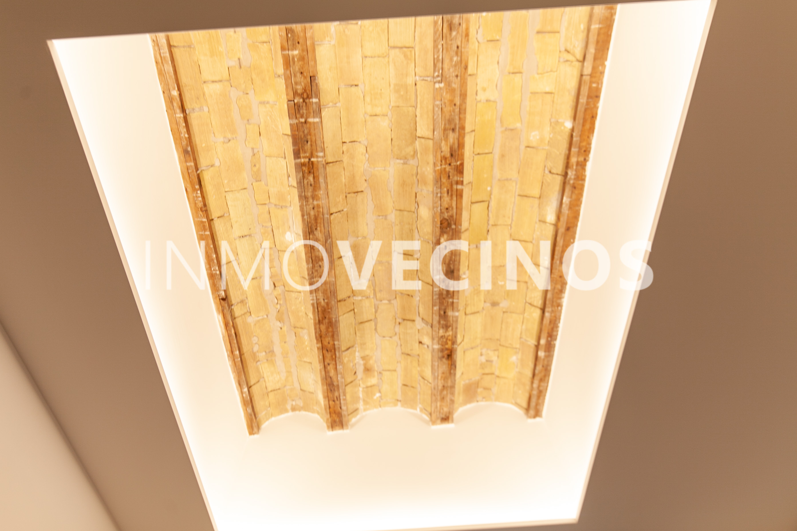 Imagen 20