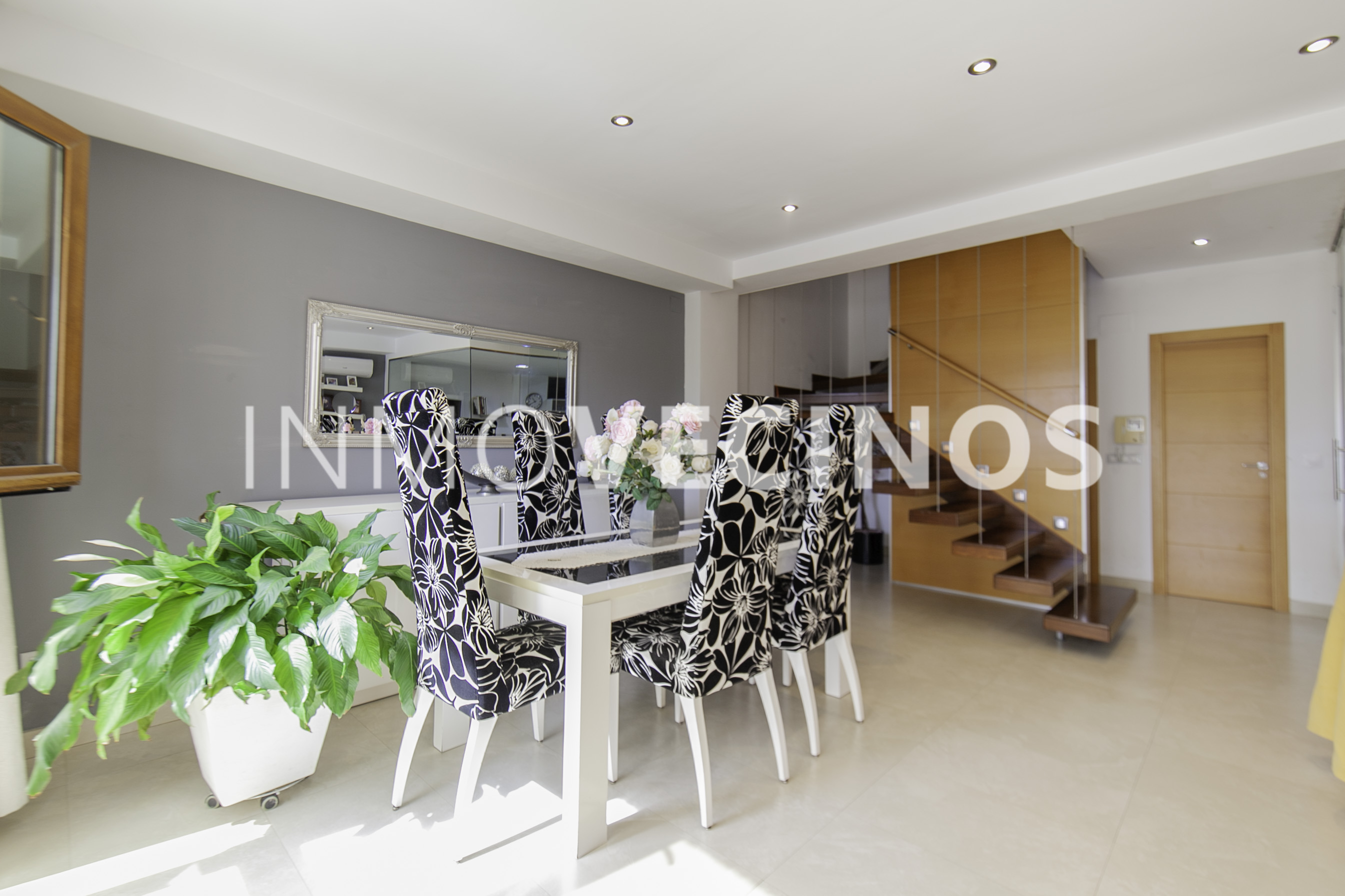 Imagen 7