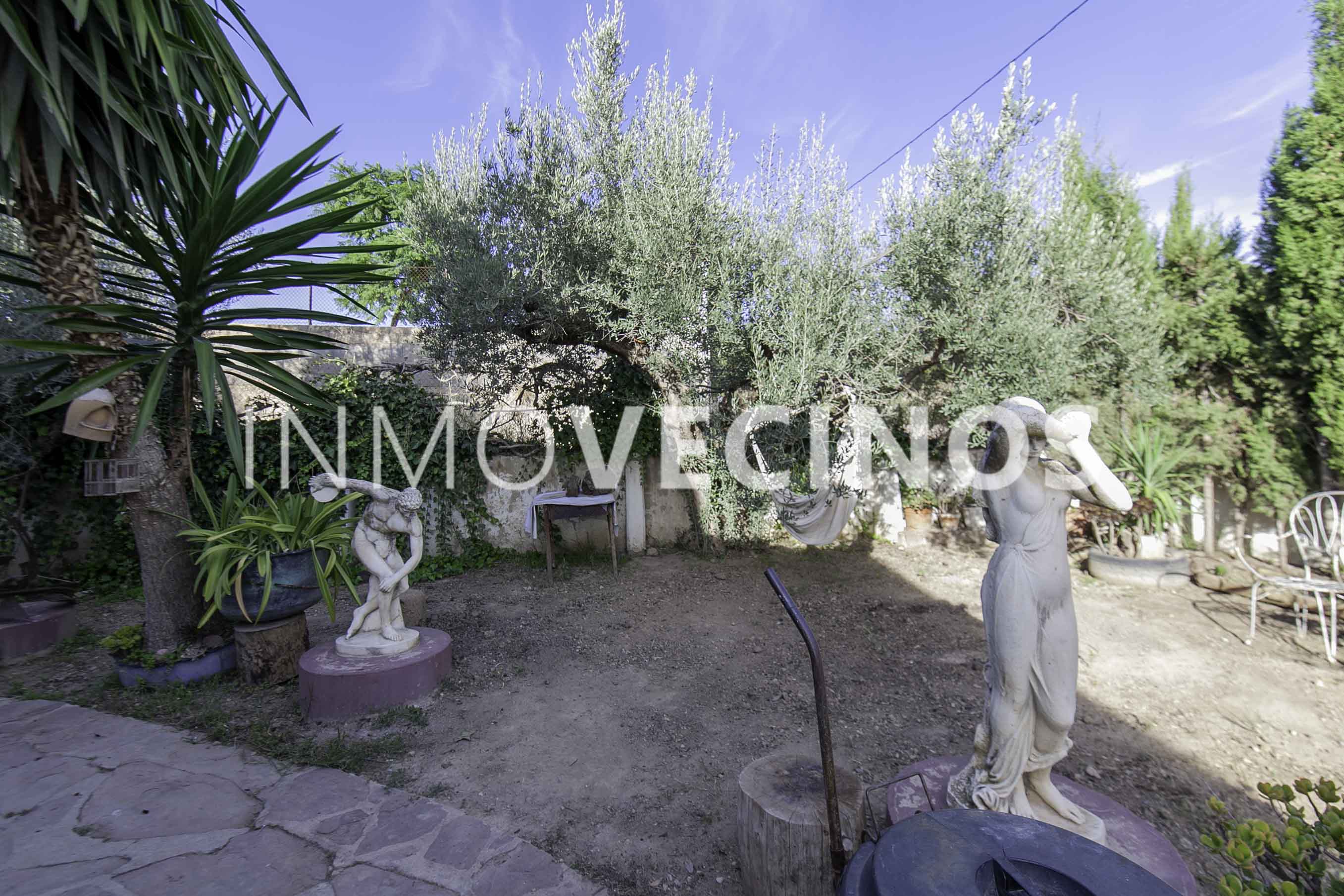 Imagen 5