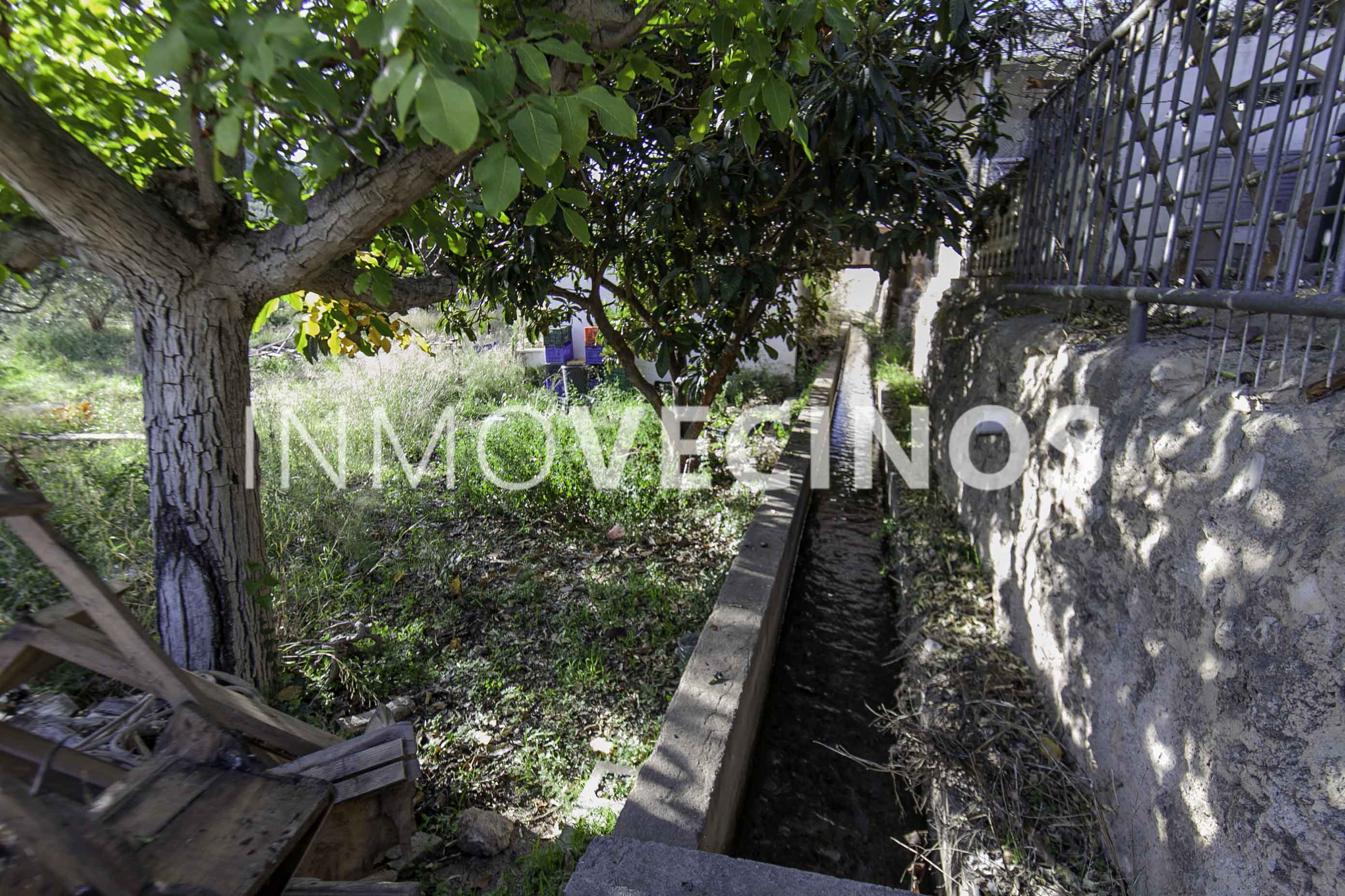 Imagen 43