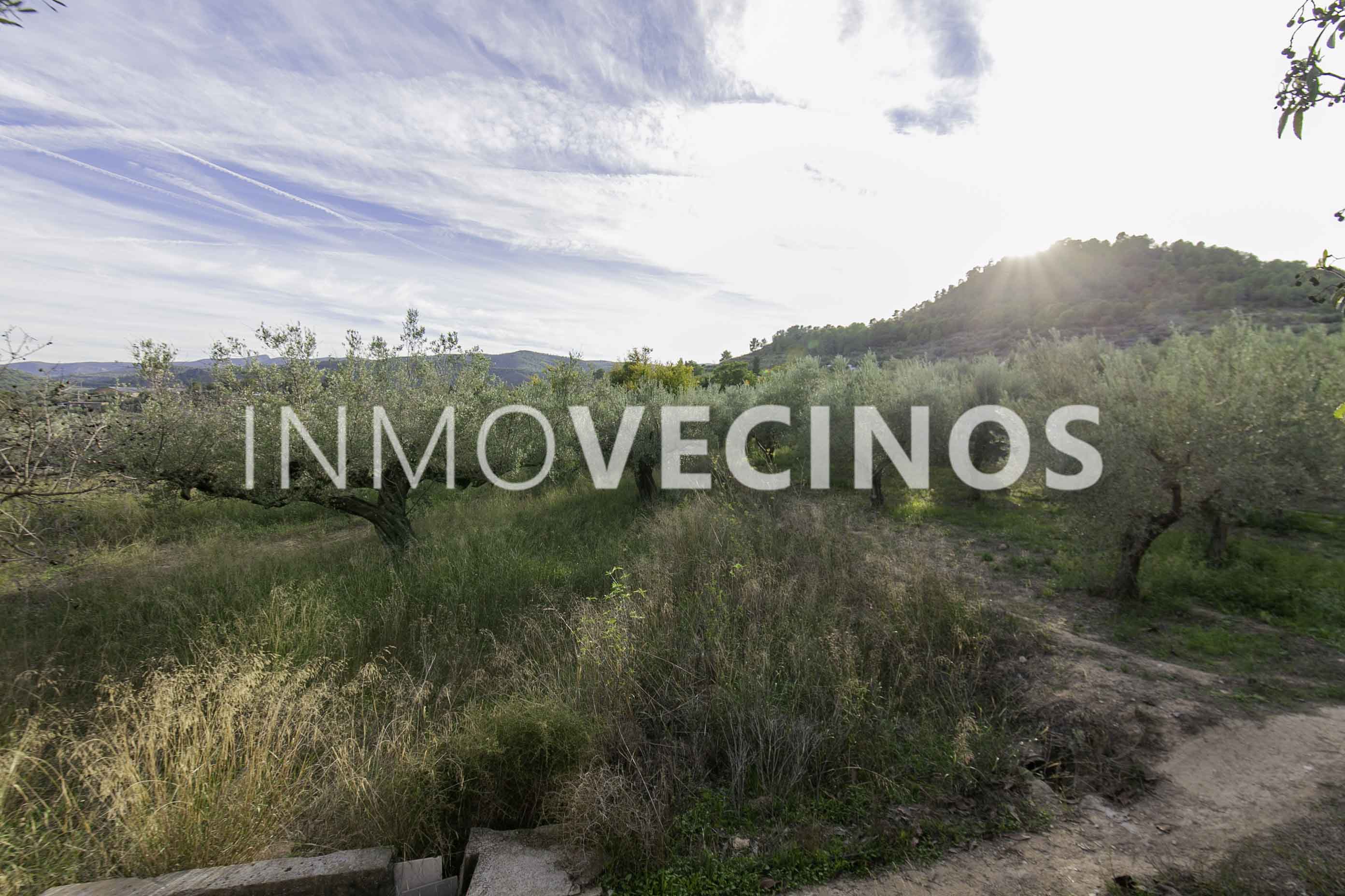 Imagen 44