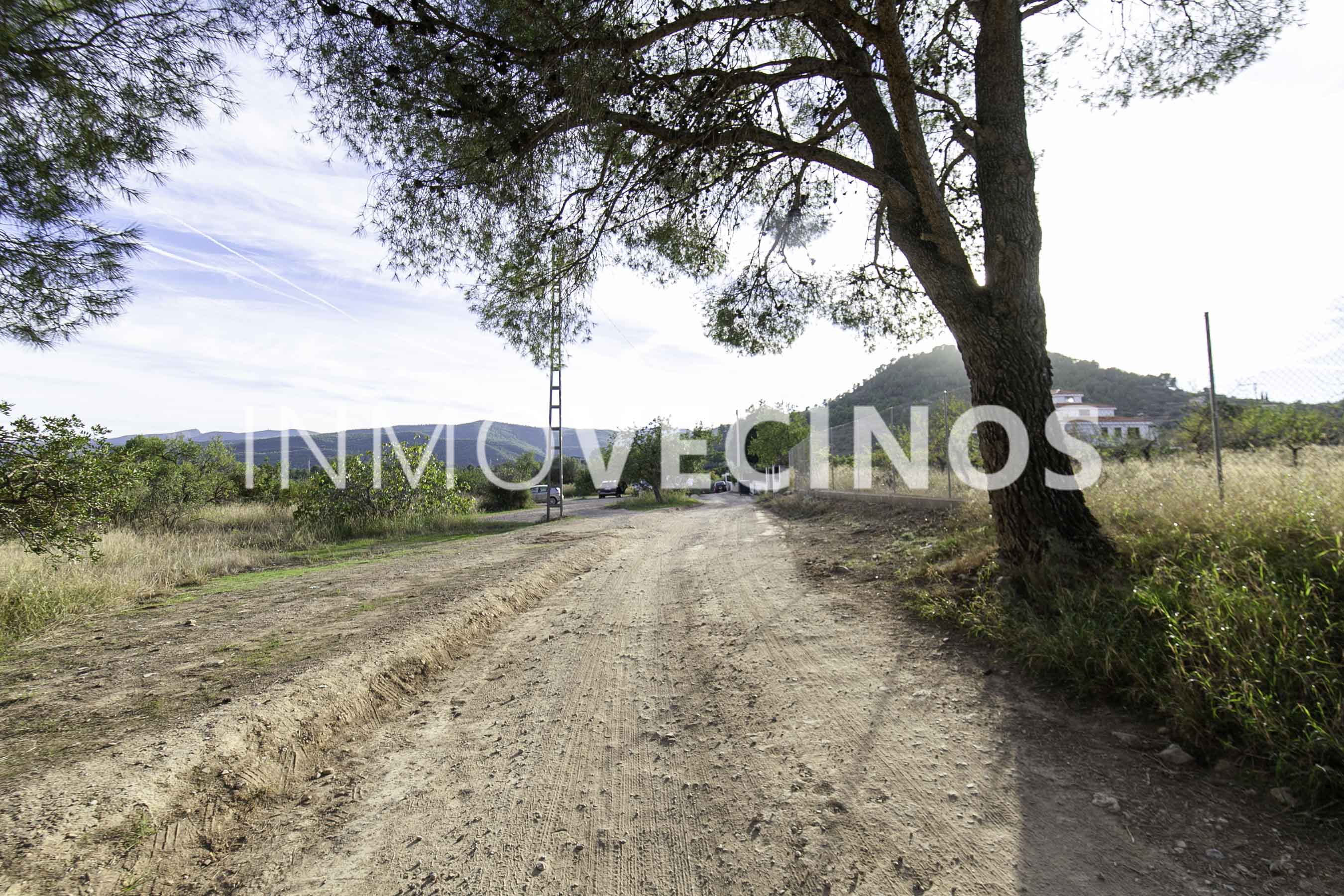 Imagen 45