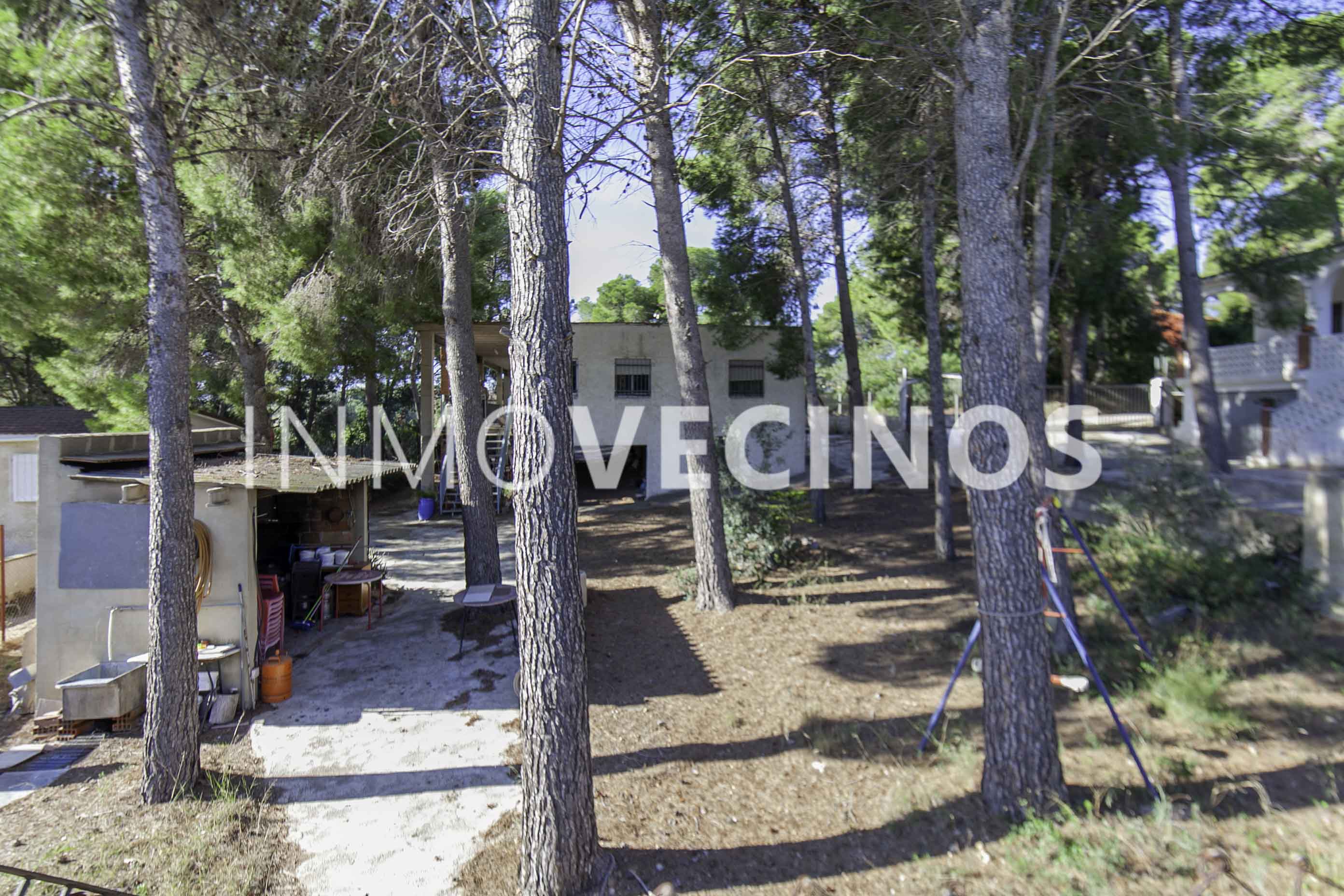 Imagen 3