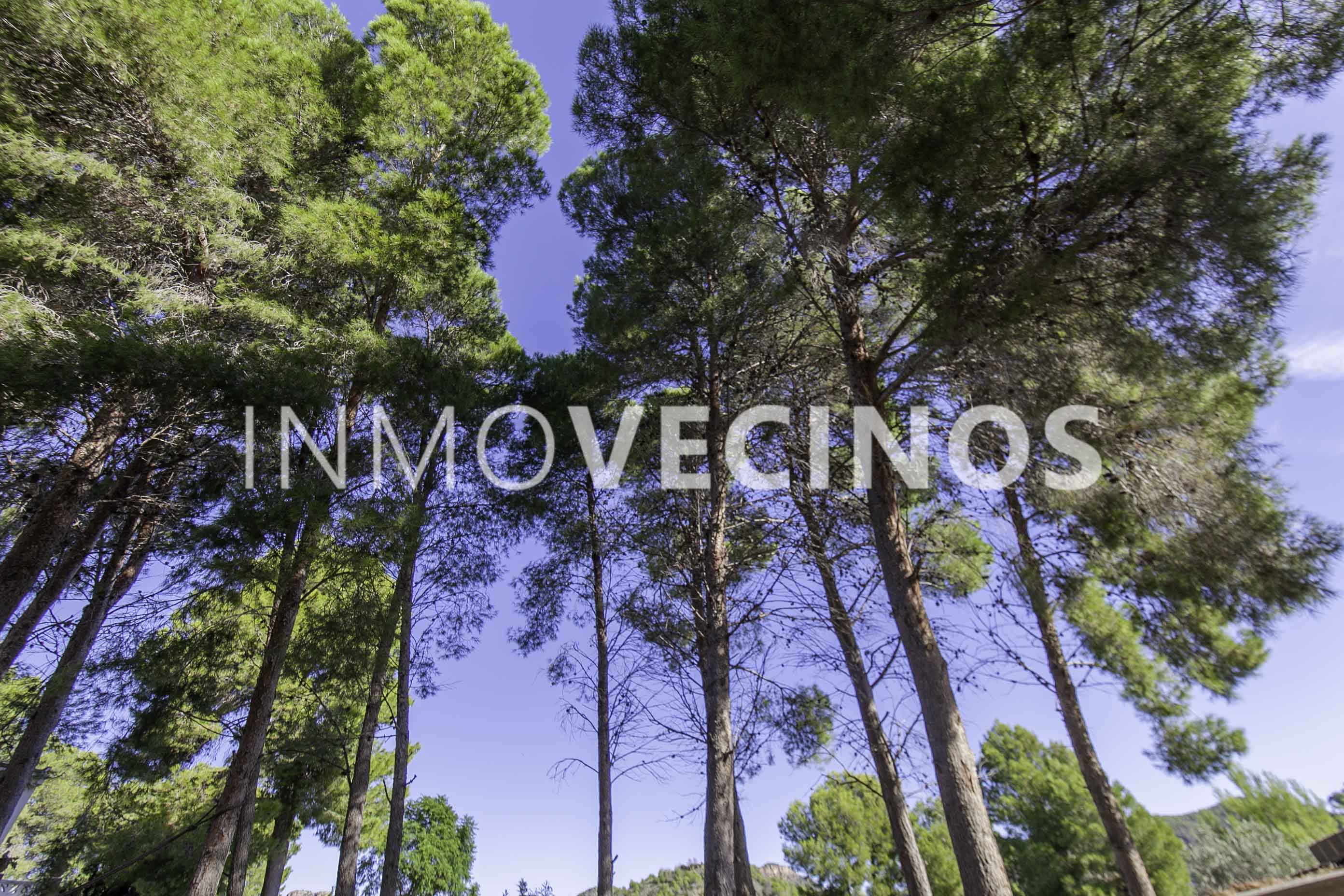 Imagen 8