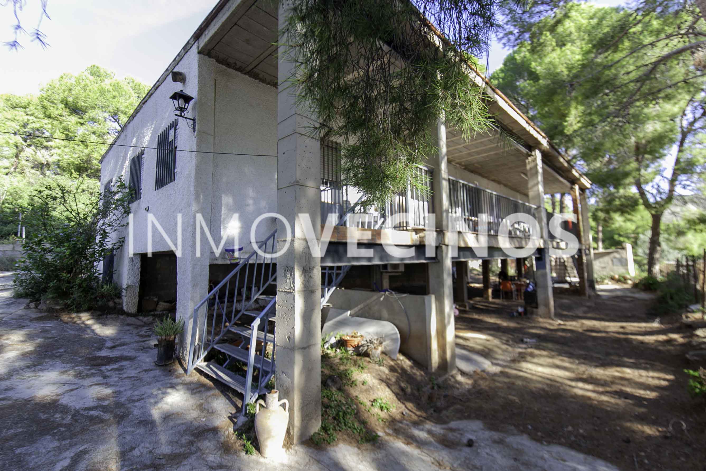 Imagen 11