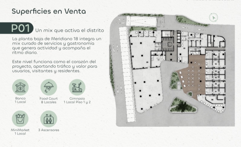 Imagen 16