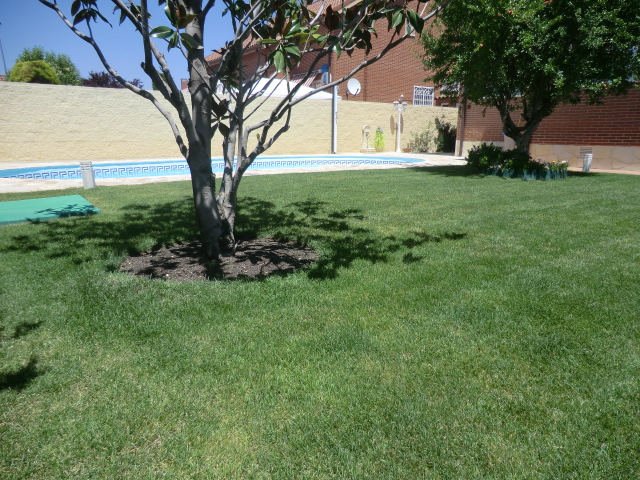 Imagen 5