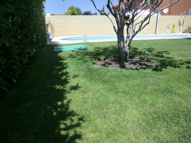 Imagen 6