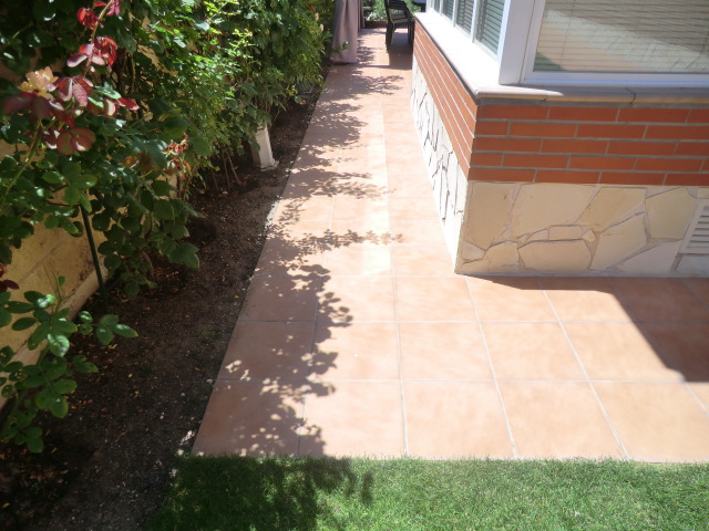 Imagen 14