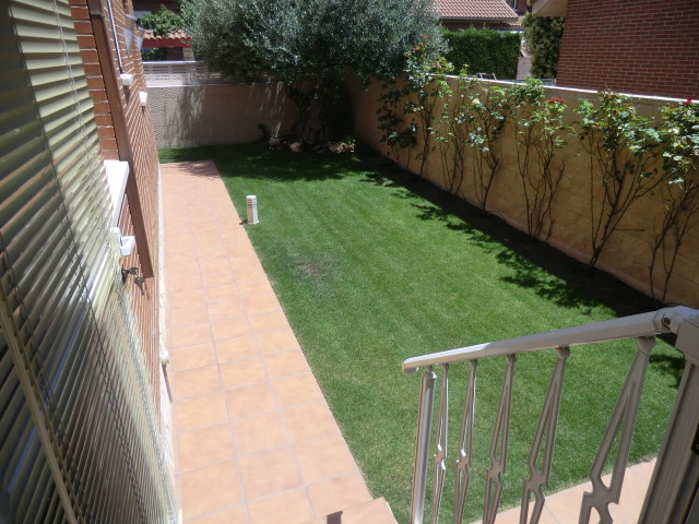 Imagen 17