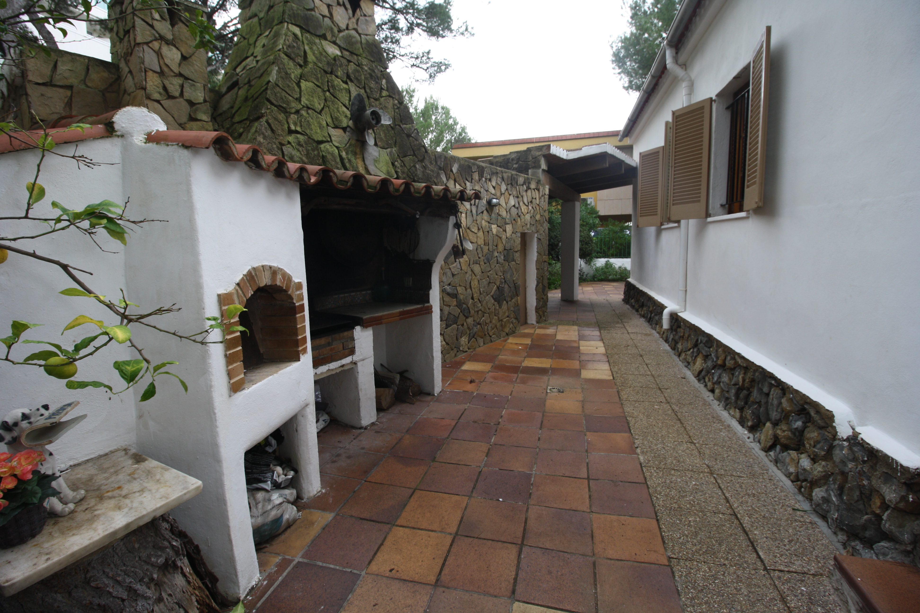 Imagen 3