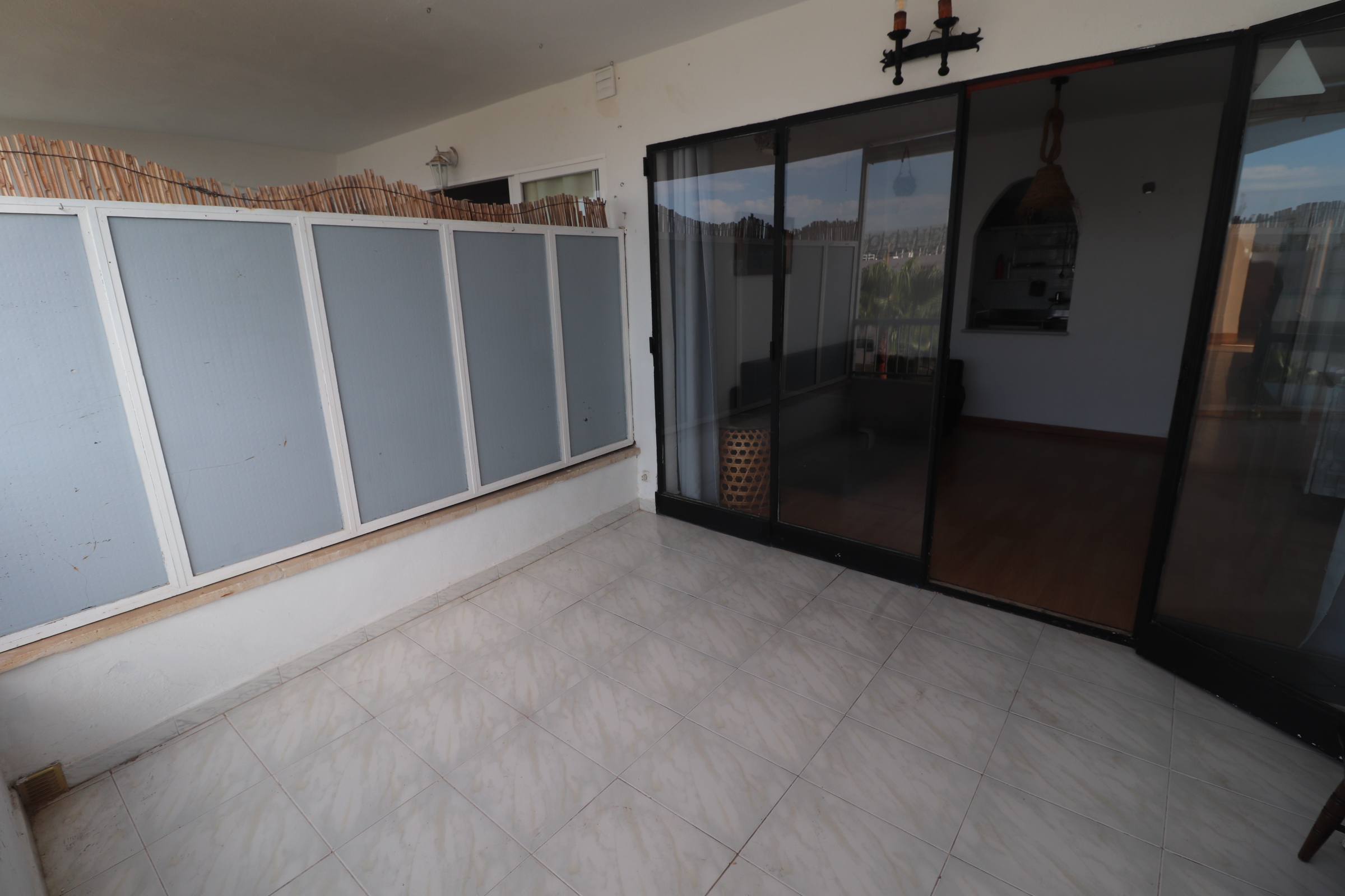 Imagen 5