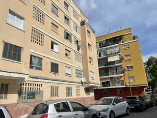 Imagen 5
