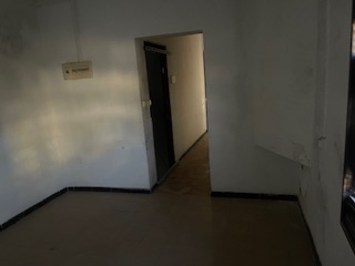 Imagen 11