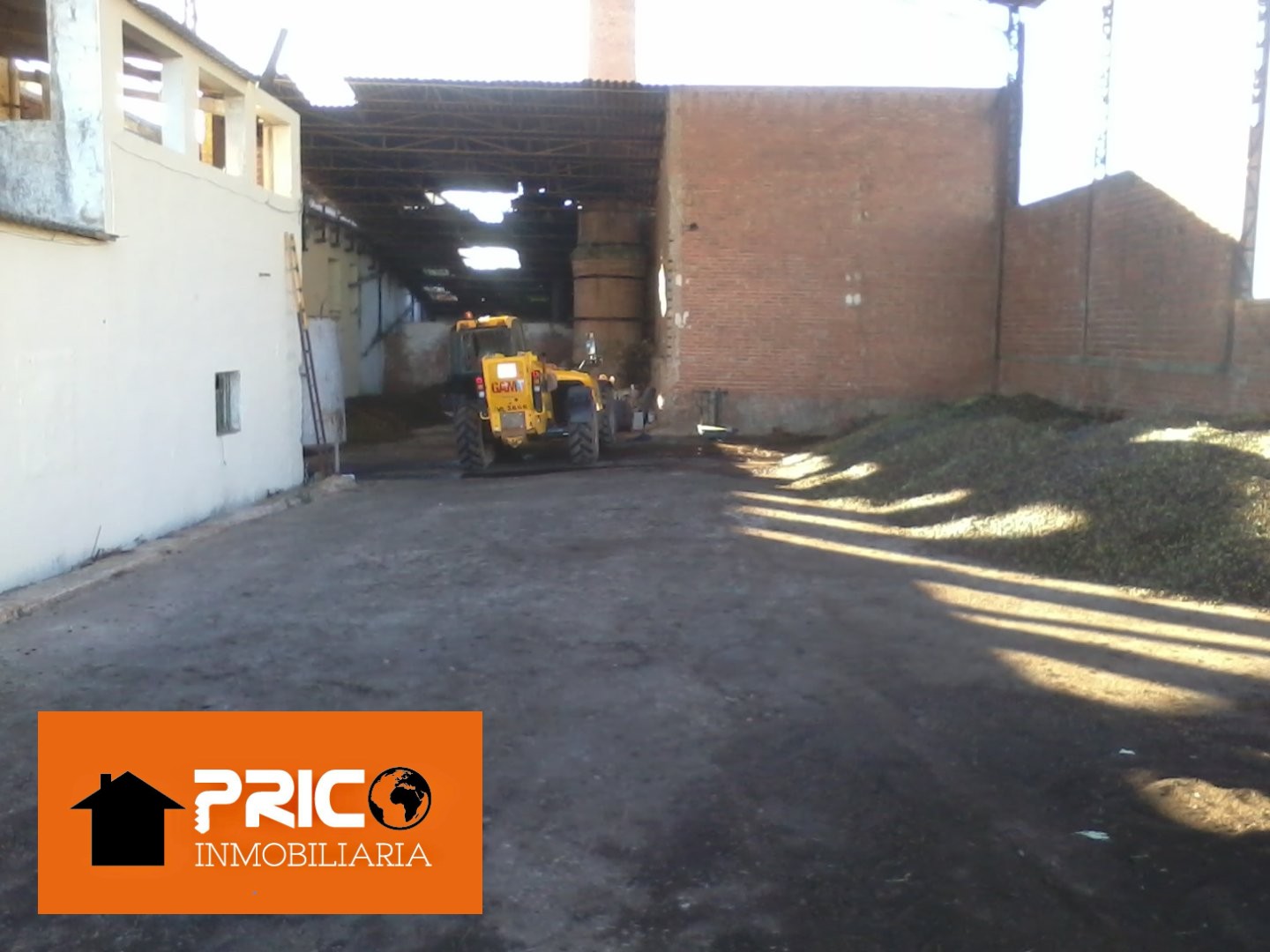 Imagen 7