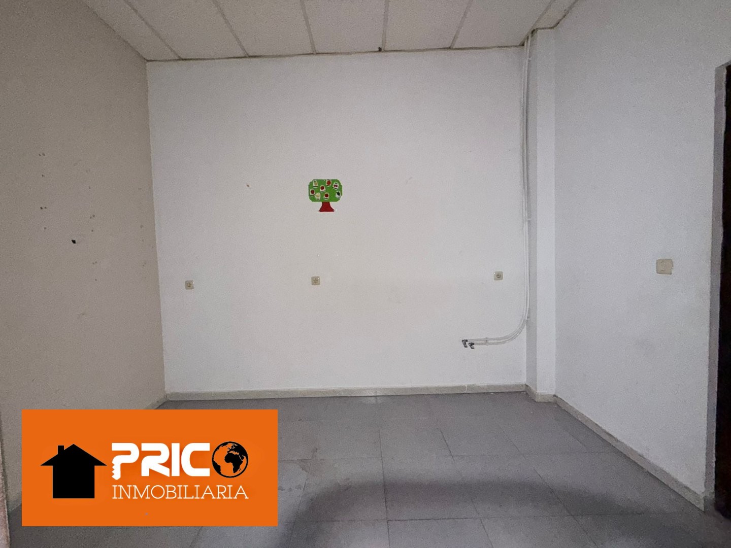 Imagen 9