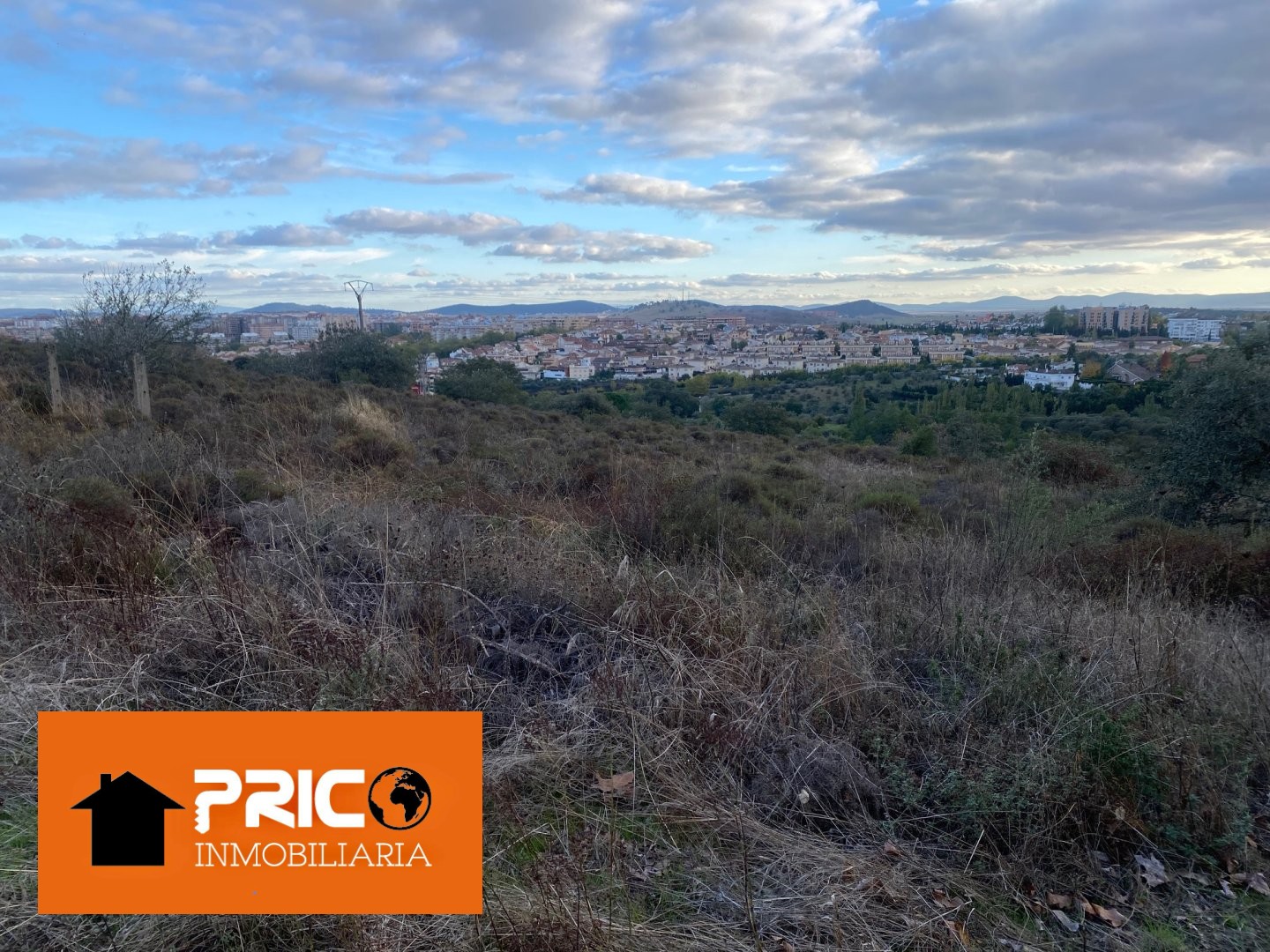 Imagen 10