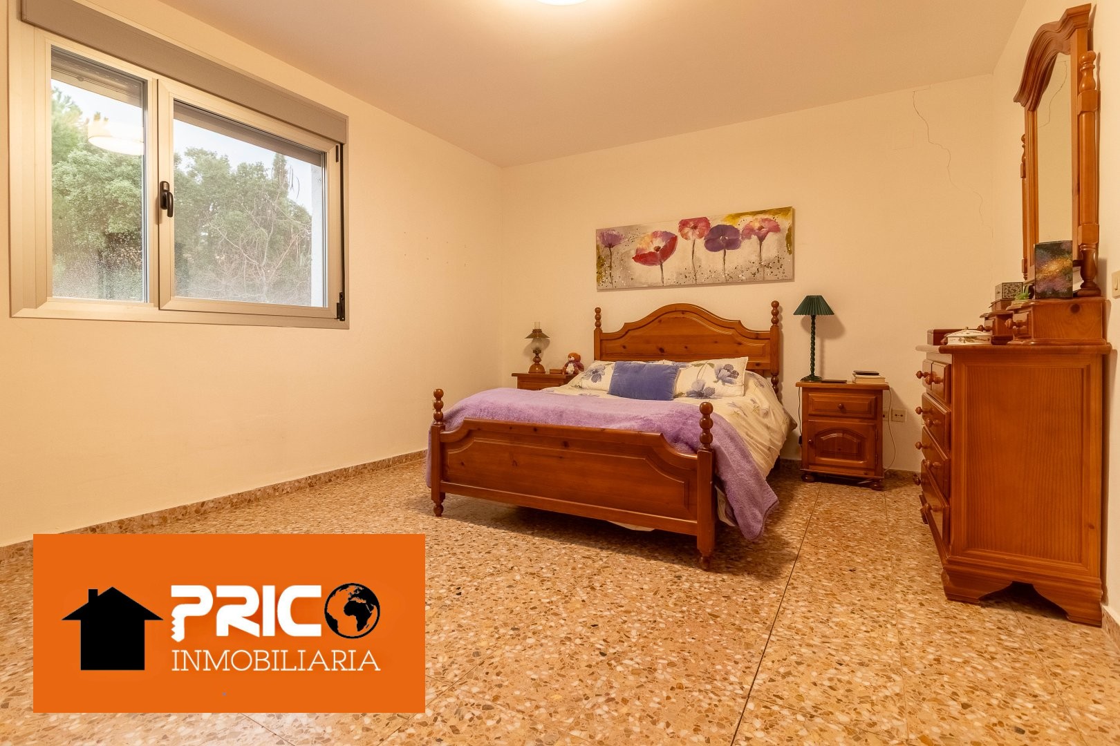 Imagen 26