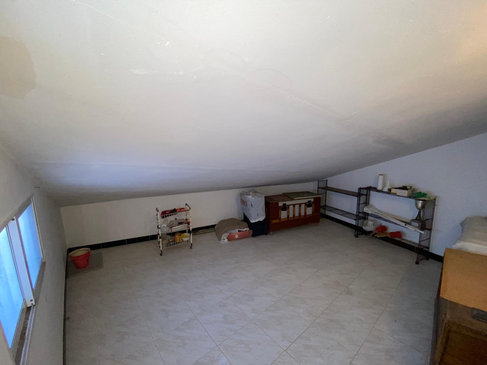 Imagen 21