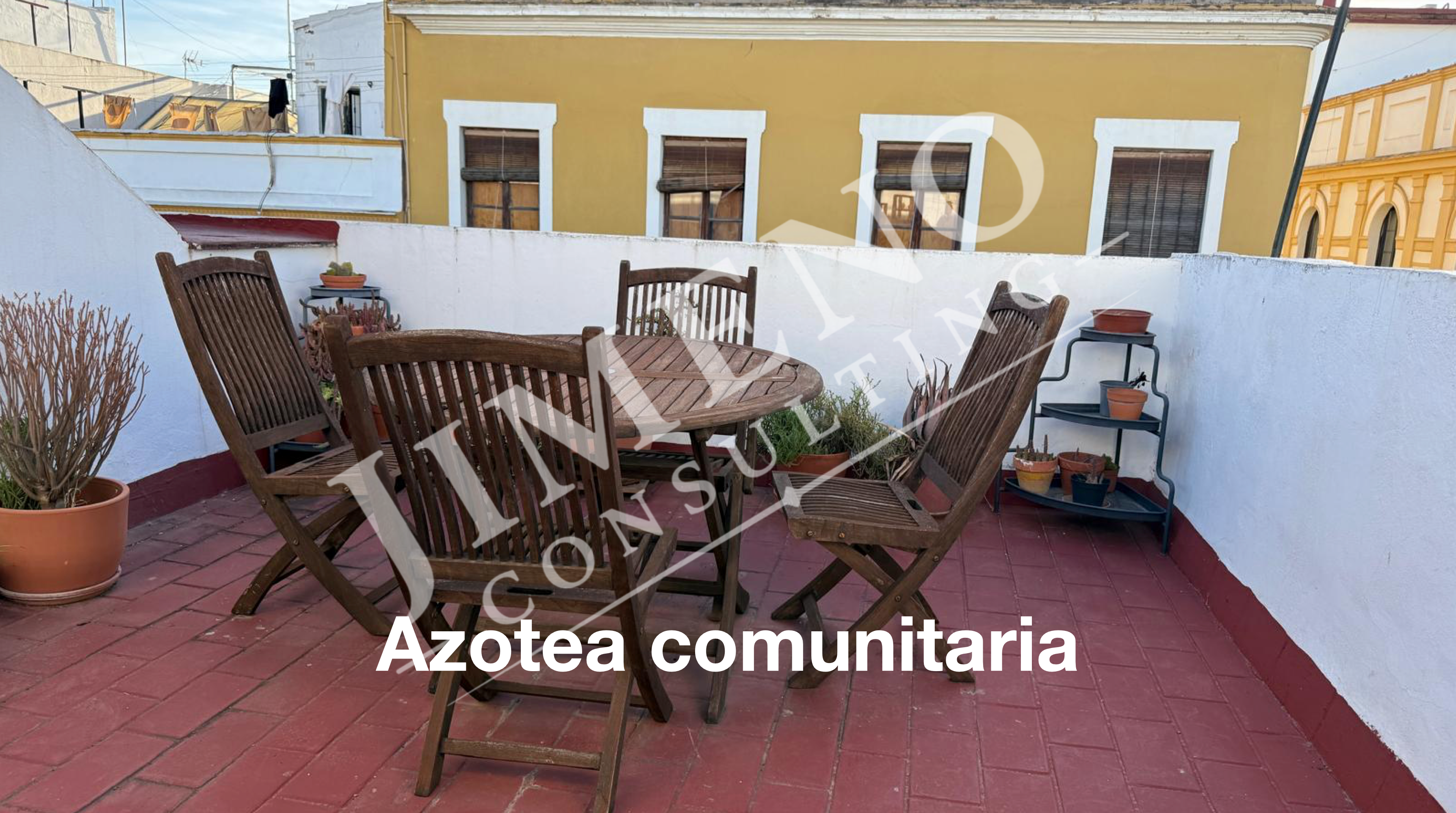 Imagen 26