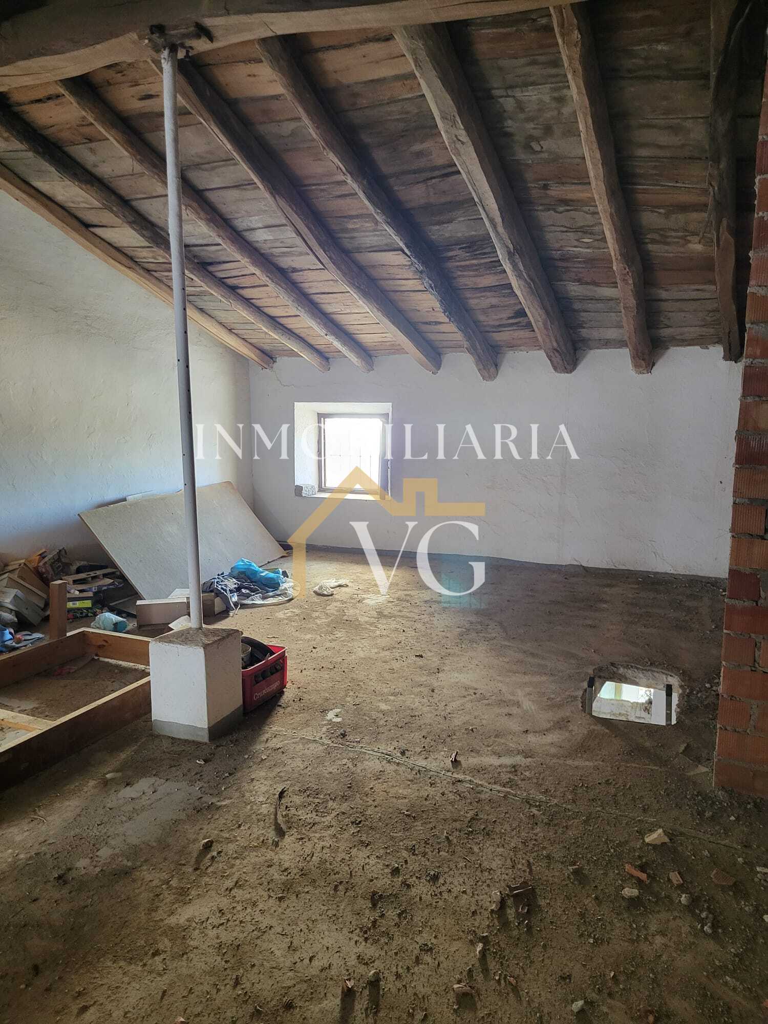 Imagen 19
