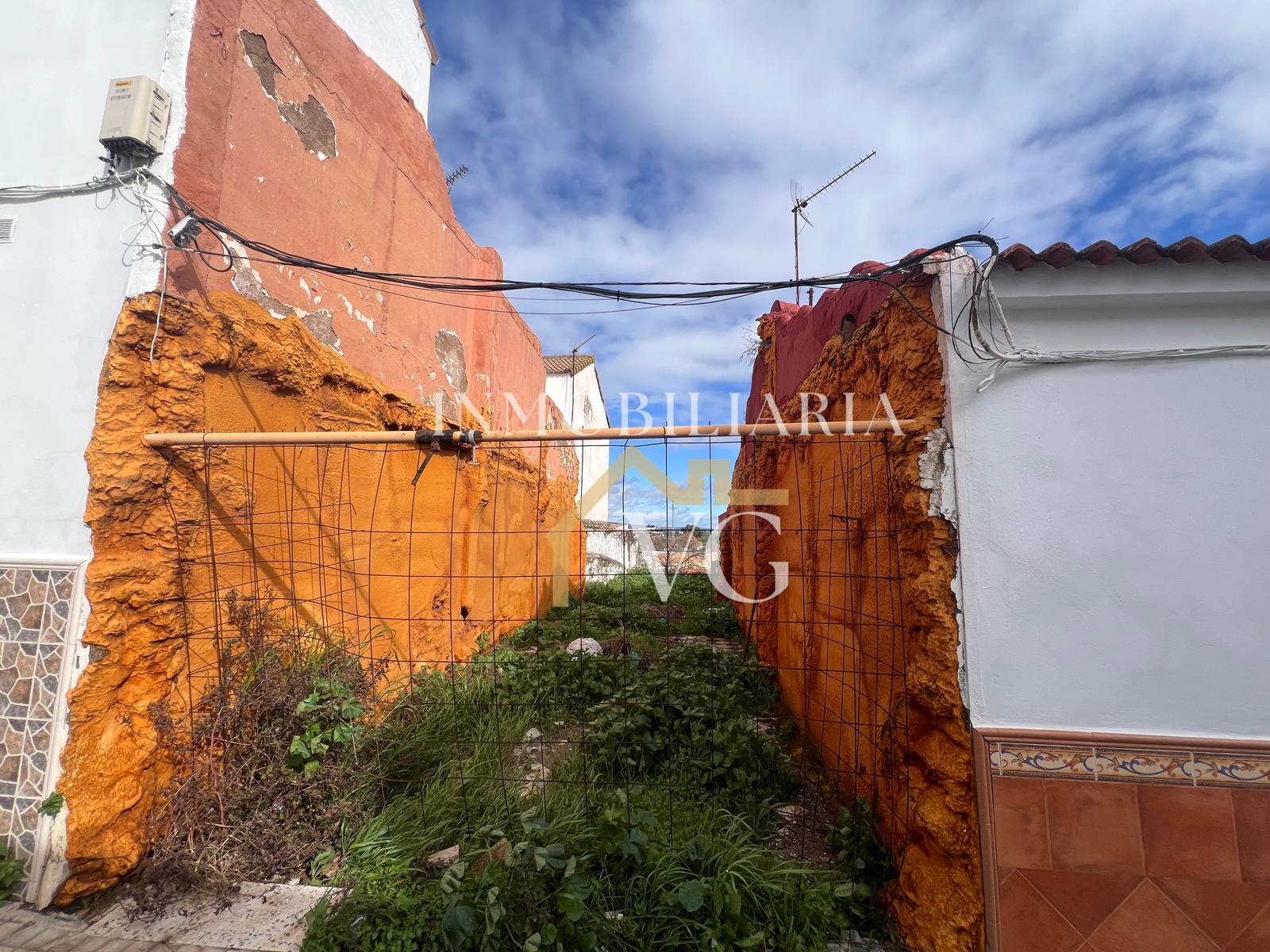 Imagen 6