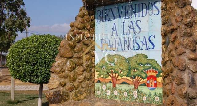 Imagen 4
